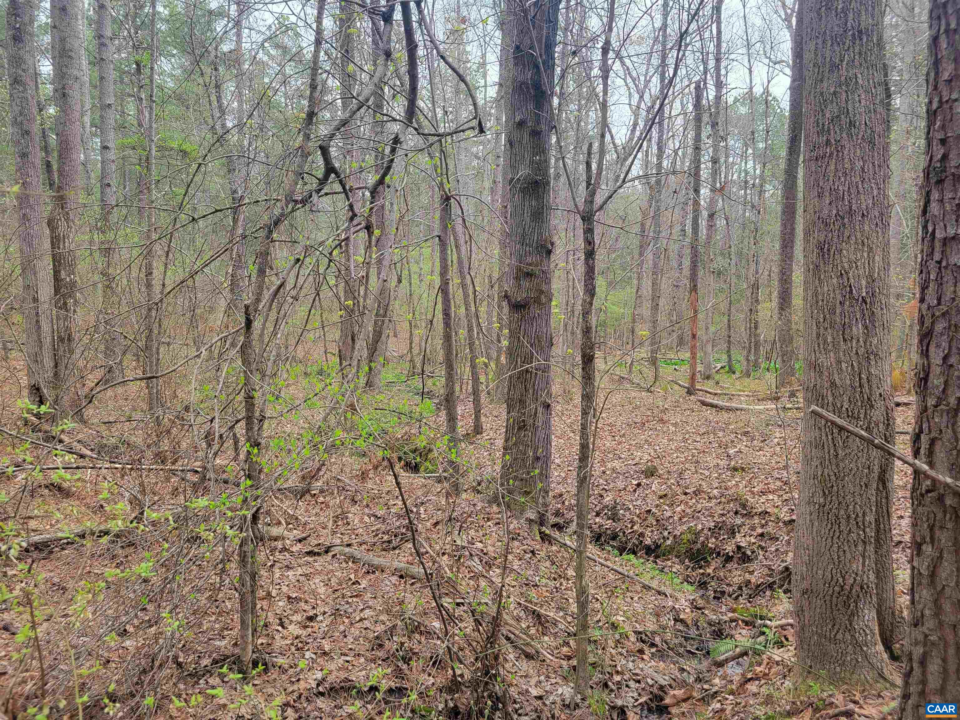 5 PINEY MOUNTAIN DR