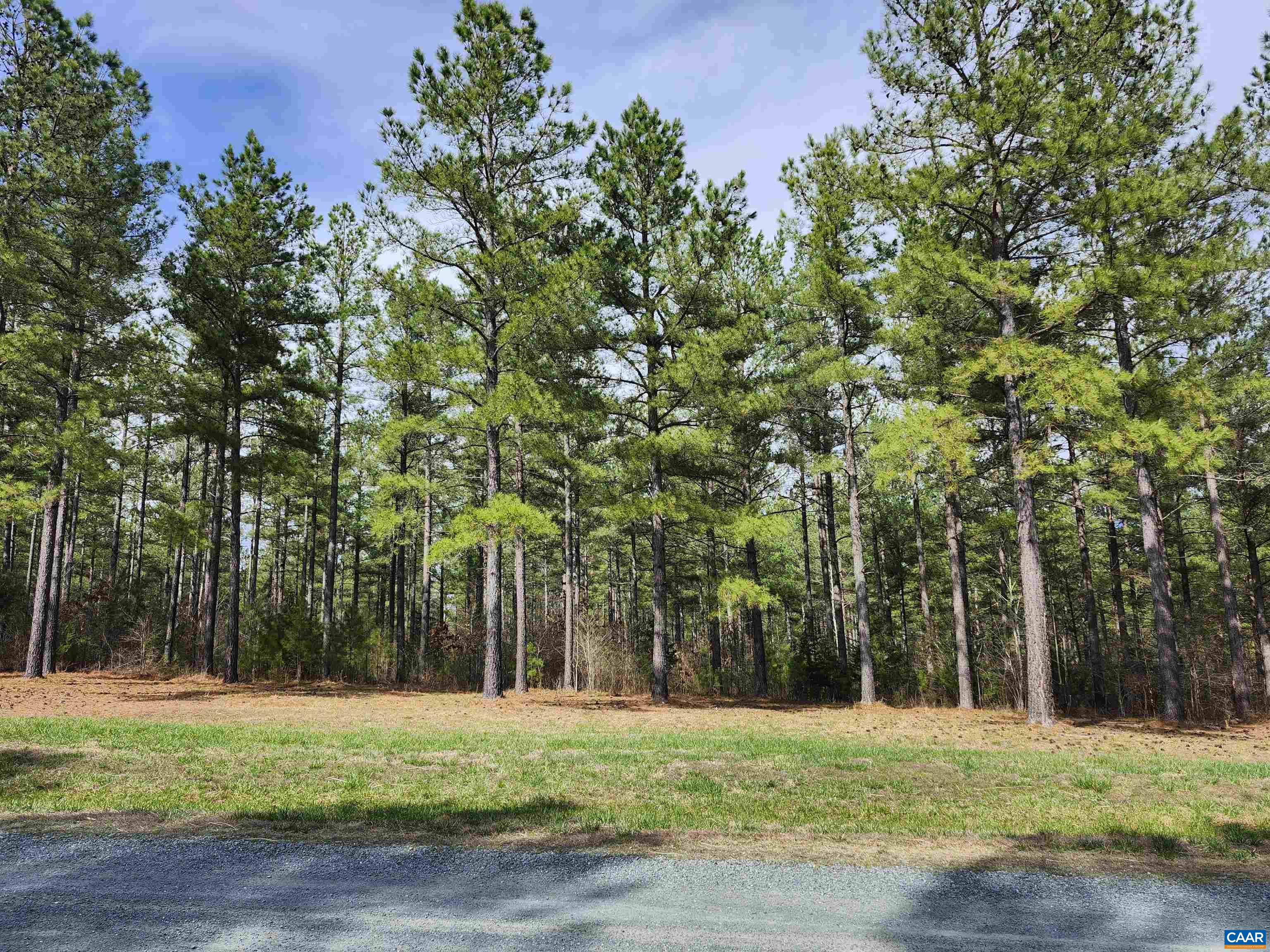 5 PINEY MOUNTAIN DR