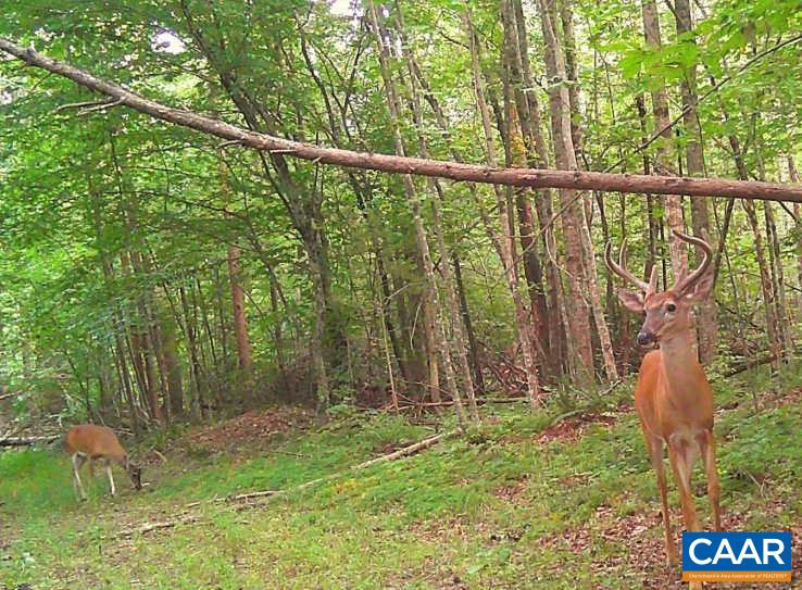 1972 SCLATERS FORD RD