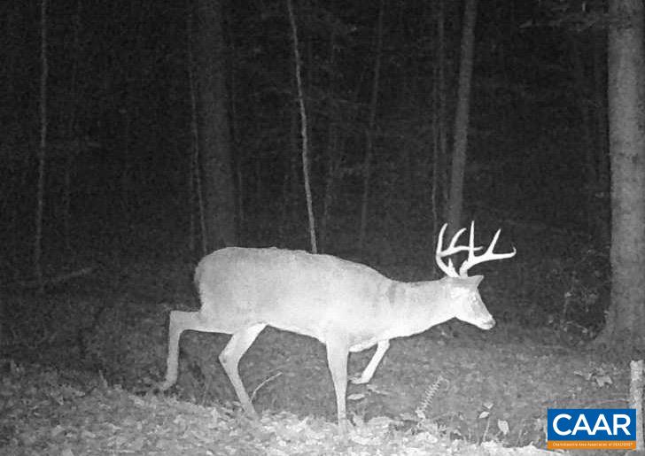 1972 SCLATERS FORD RD