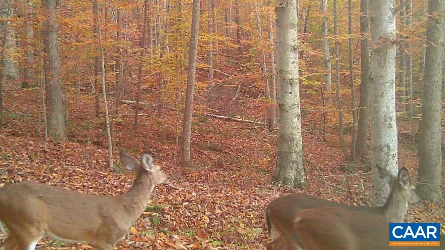 1972 SCLATERS FORD RD