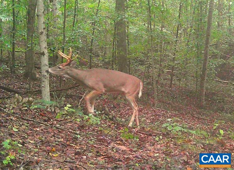 1972 SCLATERS FORD RD