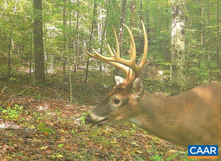 1972 SCLATERS FORD RD