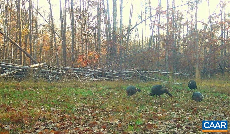 1972 SCLATERS FORD RD