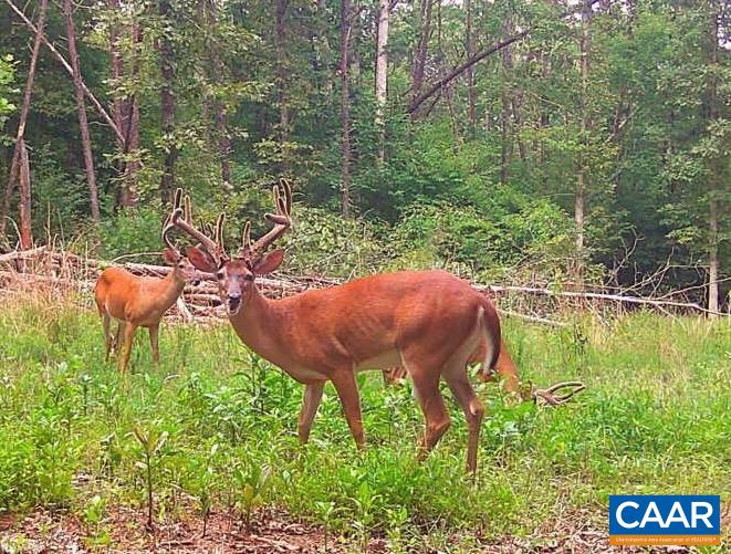 1972 SCLATERS FORD RD