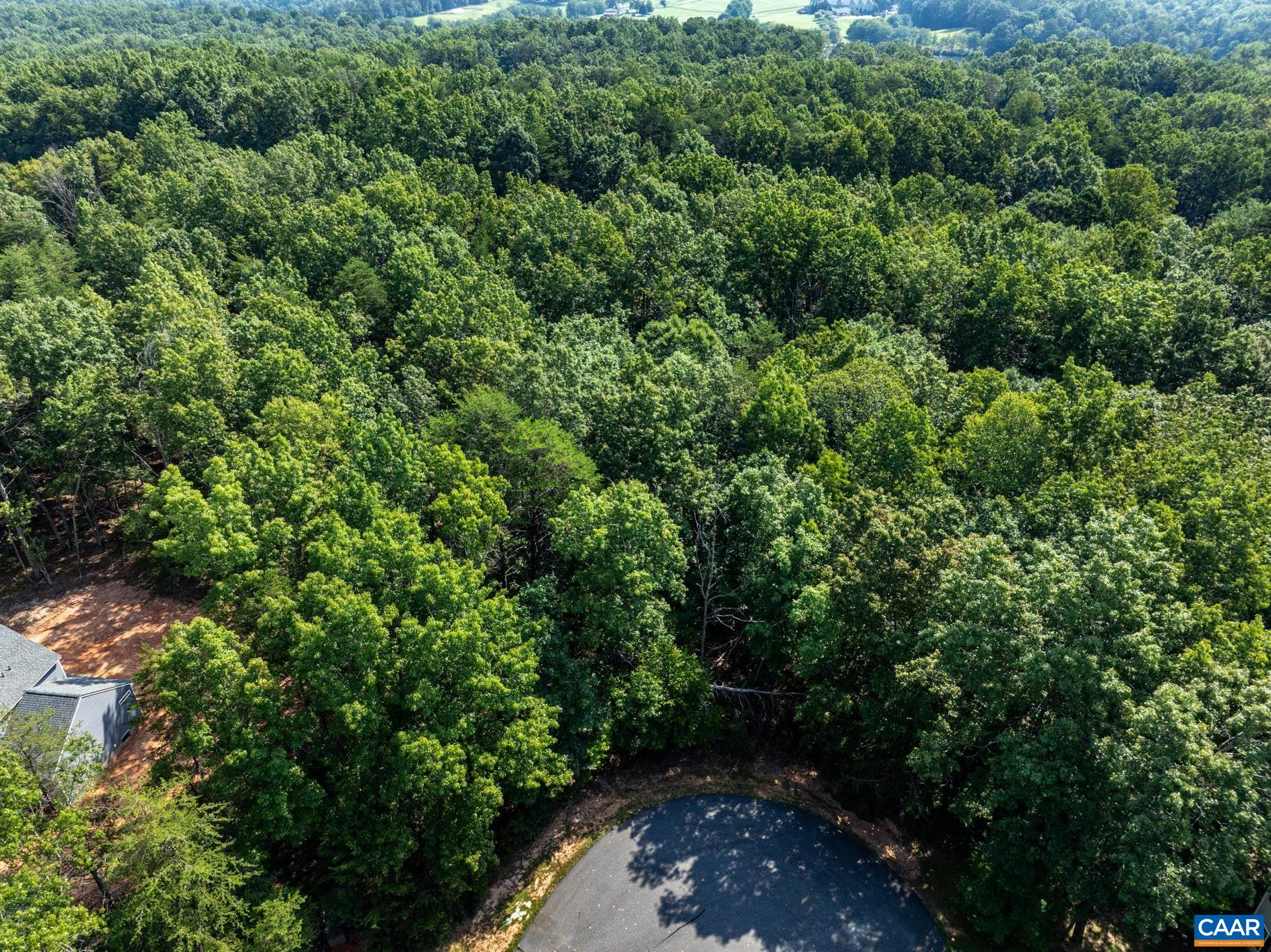 99 OAKMONT DR