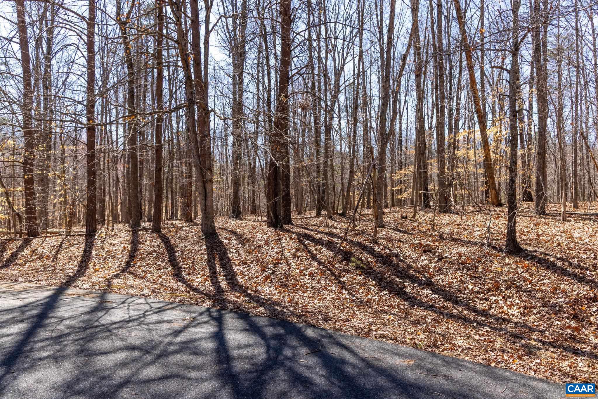 290 MERION DR