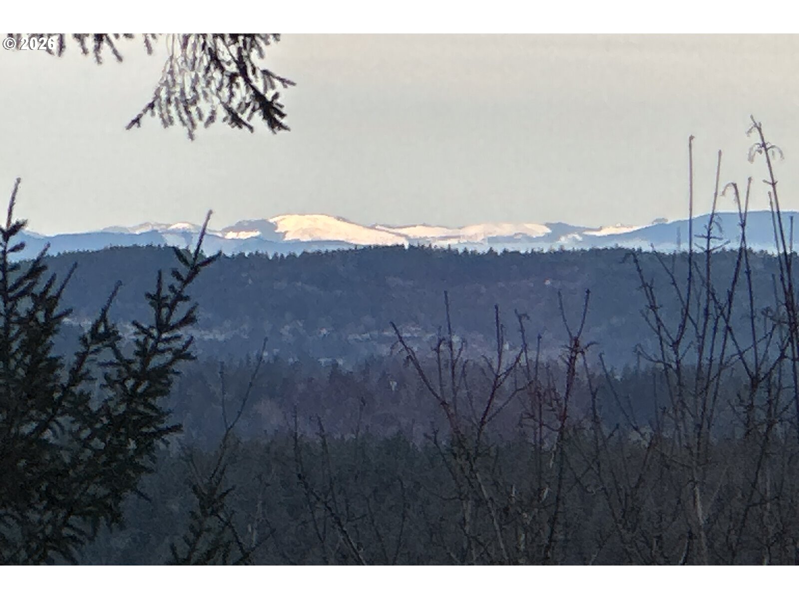 2543 PALISADES CREST DR