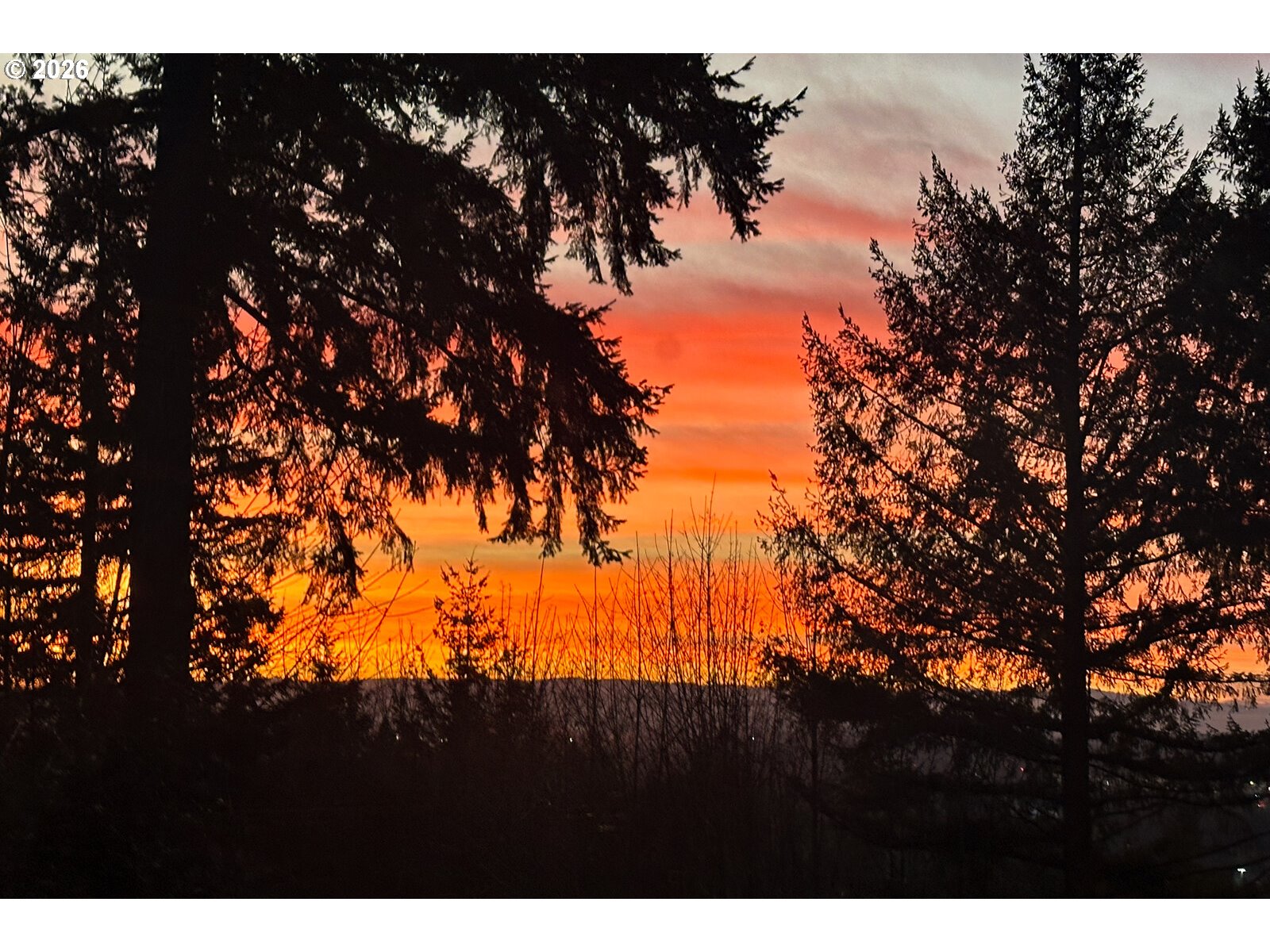 2543 PALISADES CREST DR