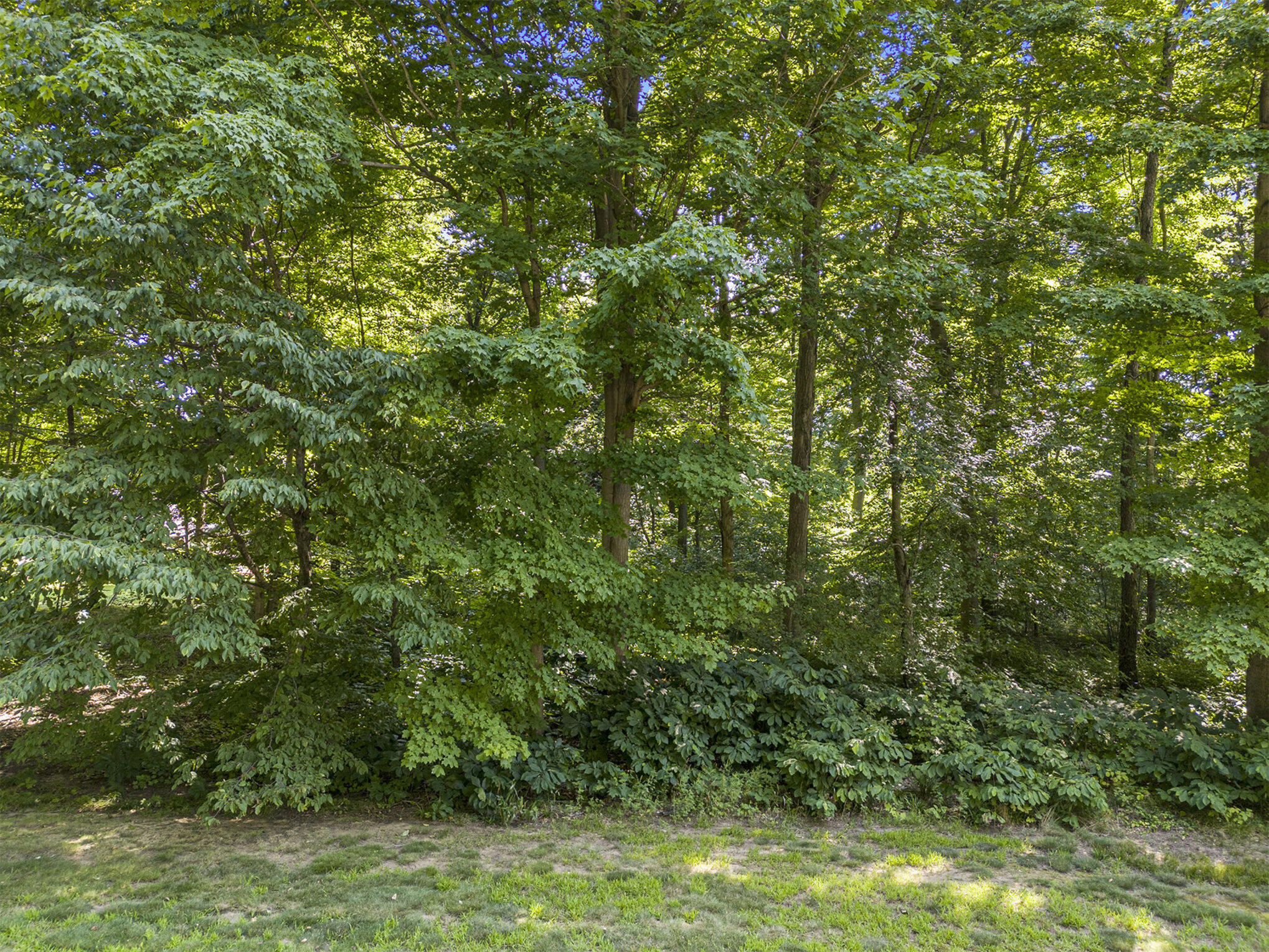 VL Hawksnest Drive, 12