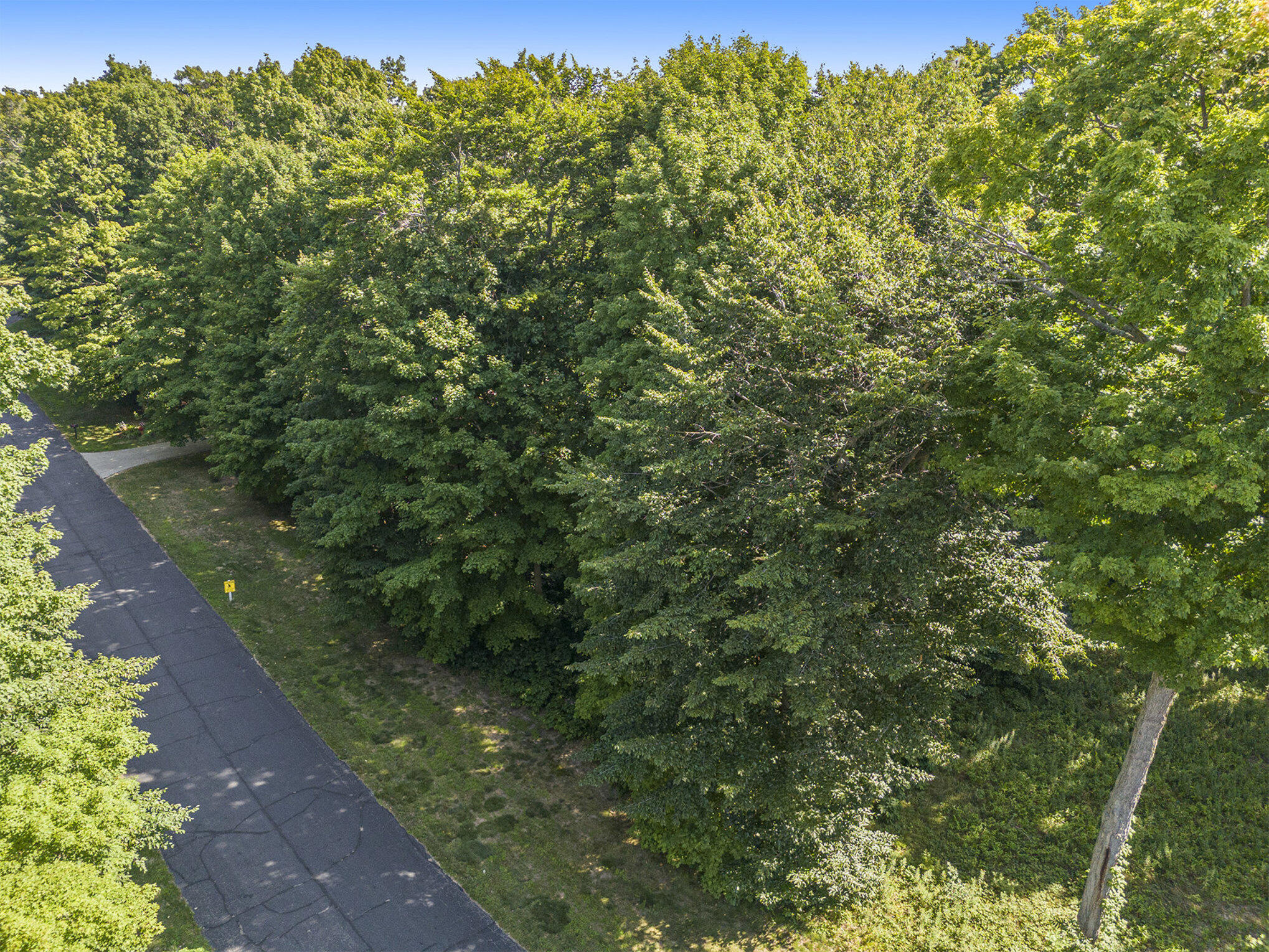 VL Hawksnest Drive, 12