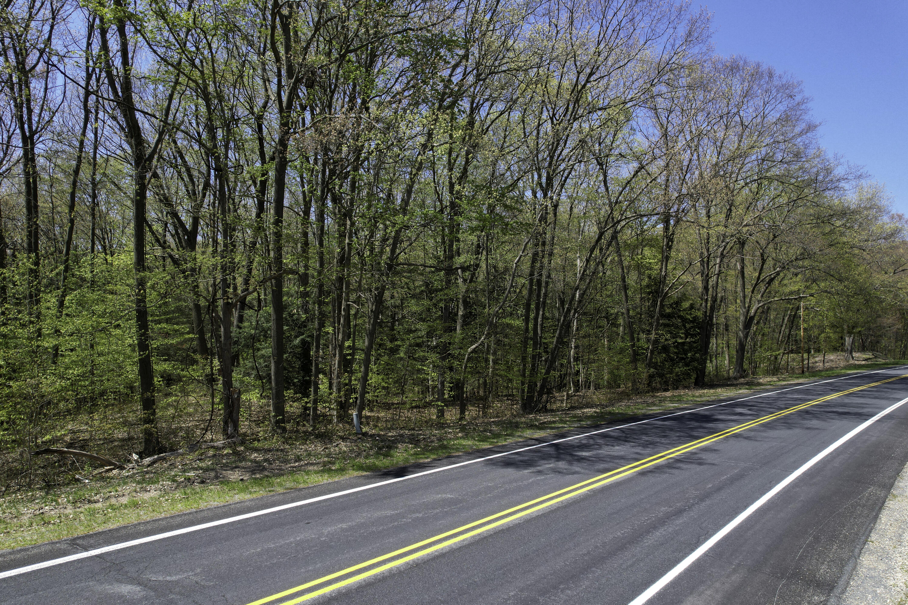 33790 Blue Star Highway