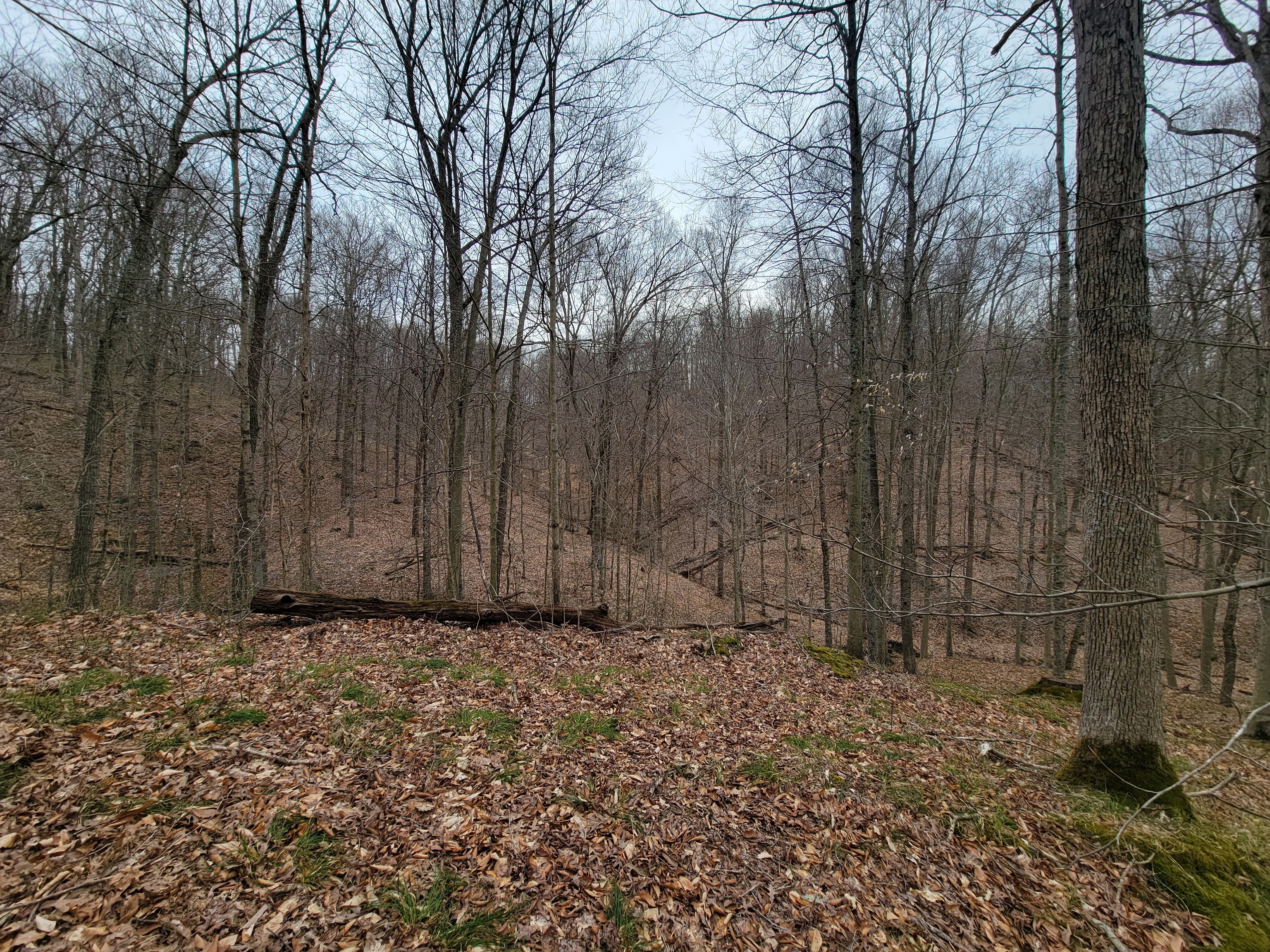 0 Long Lake Rd