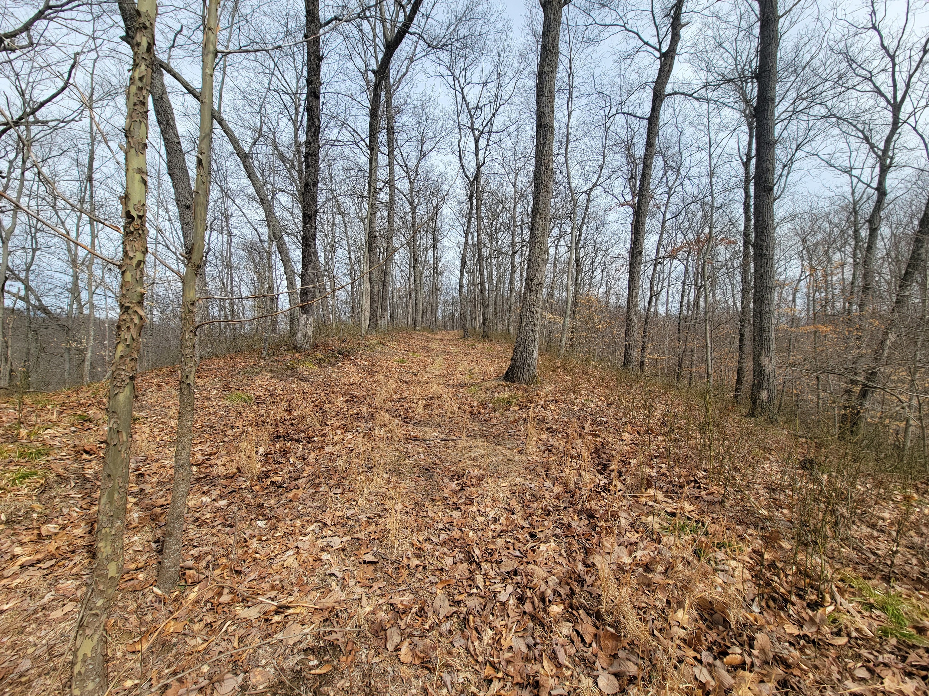 0 Long Lake Rd