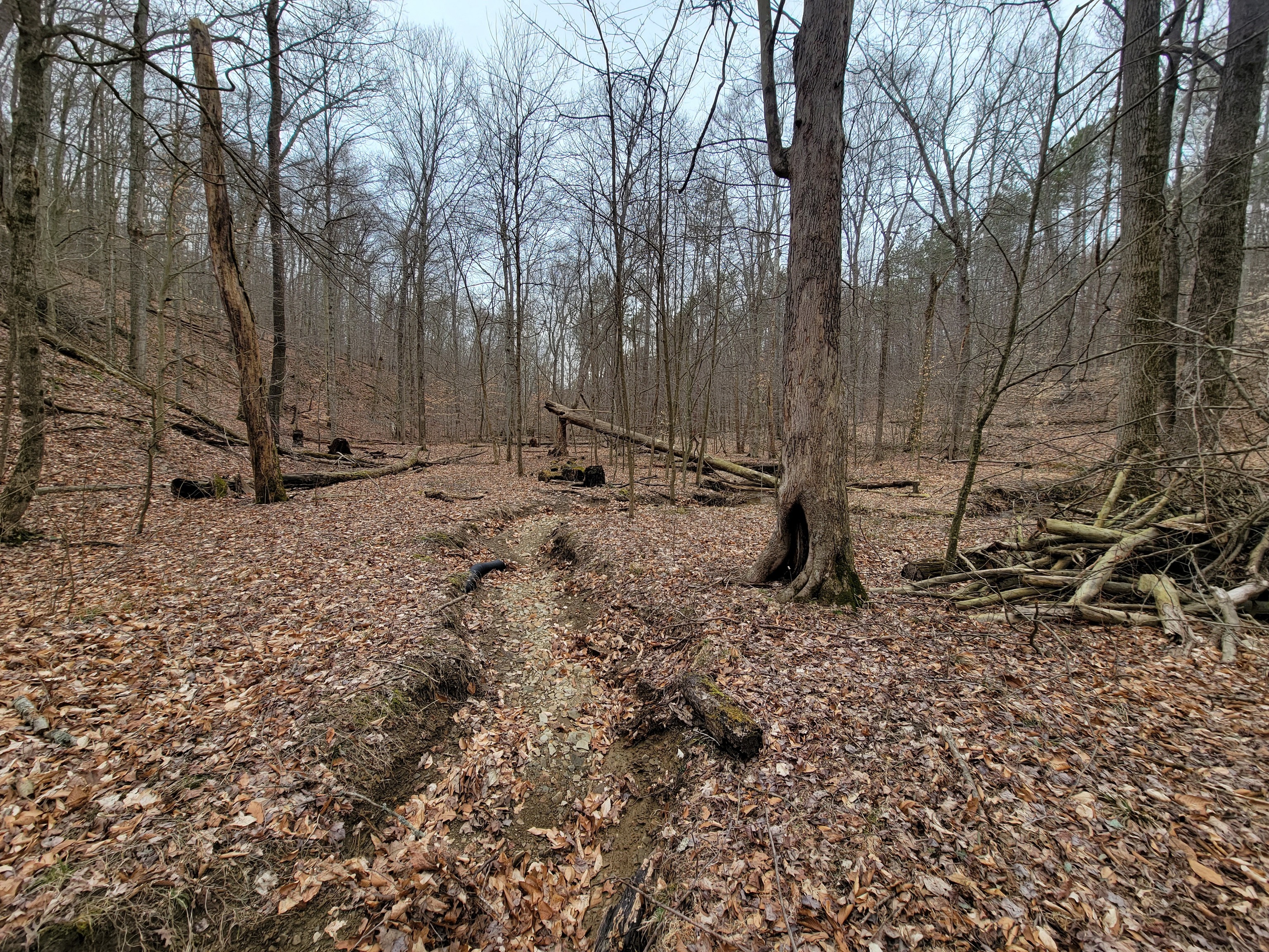 0 Long Lake Rd