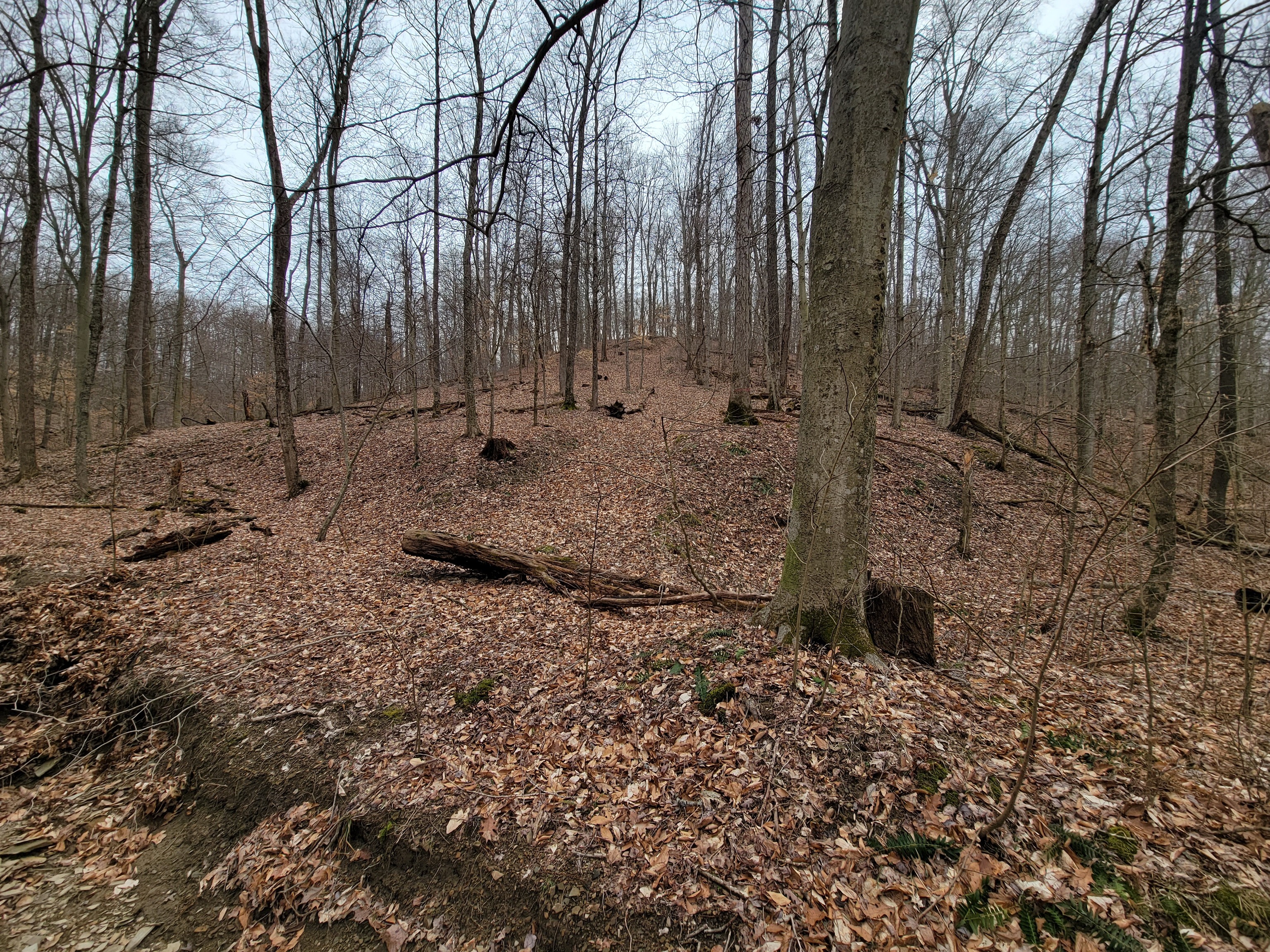 0 Long Lake Rd