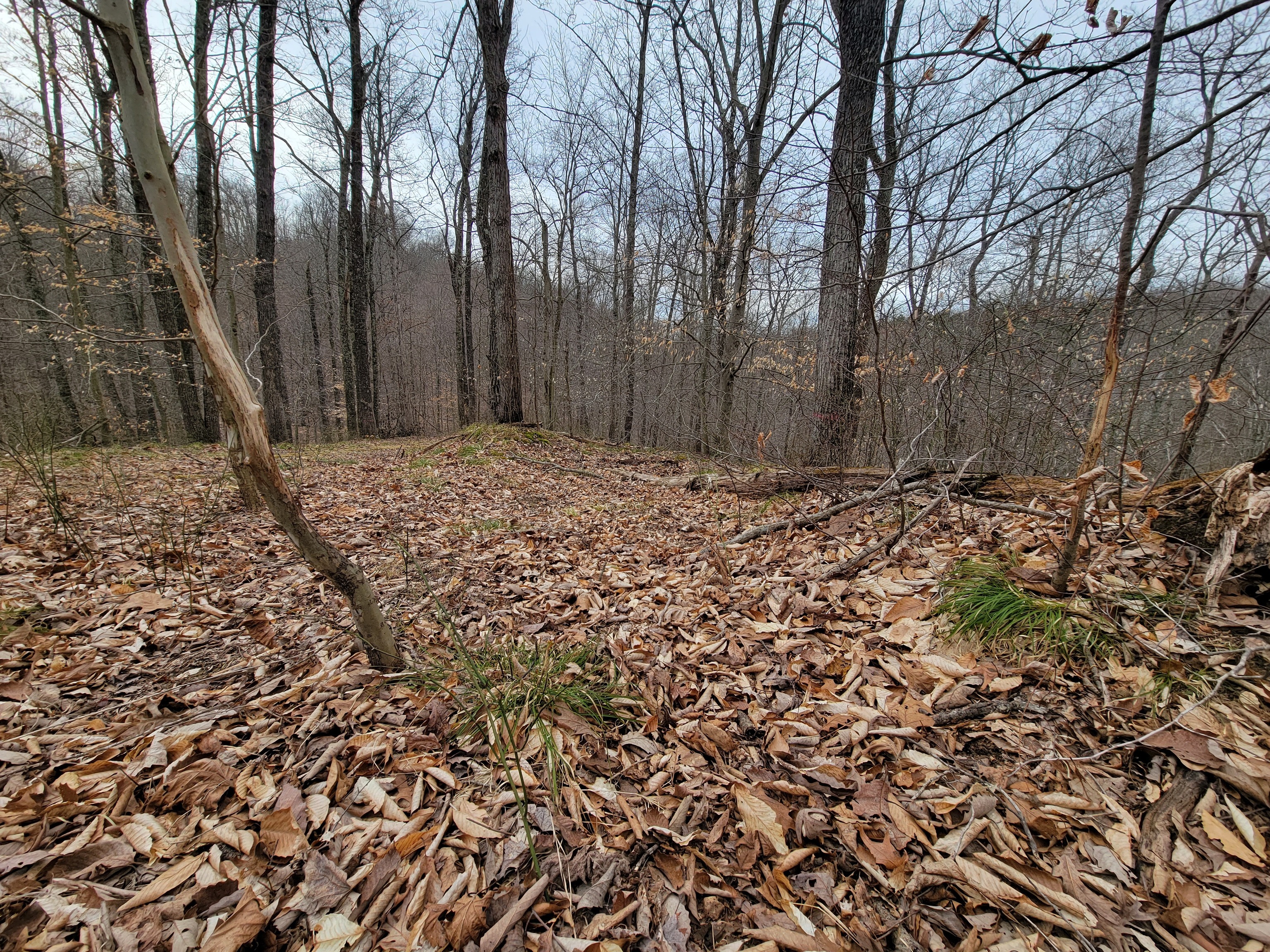0 Long Lake Rd
