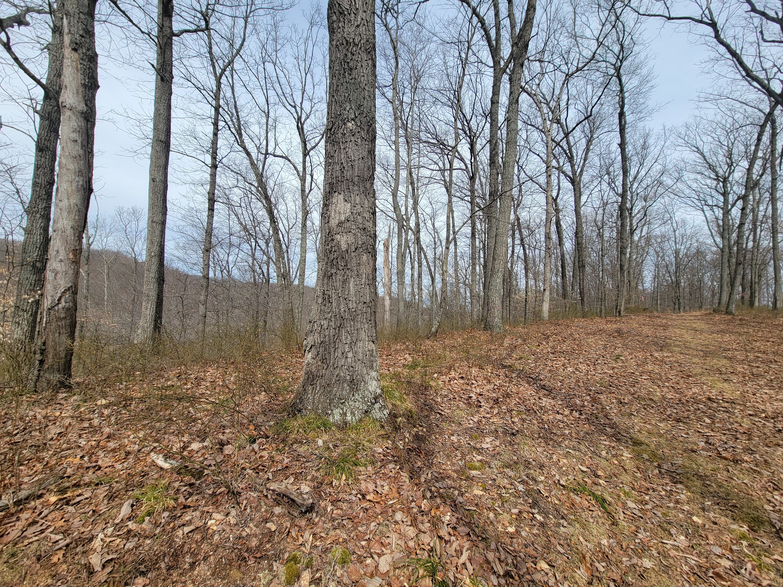 0 Long Lake Rd