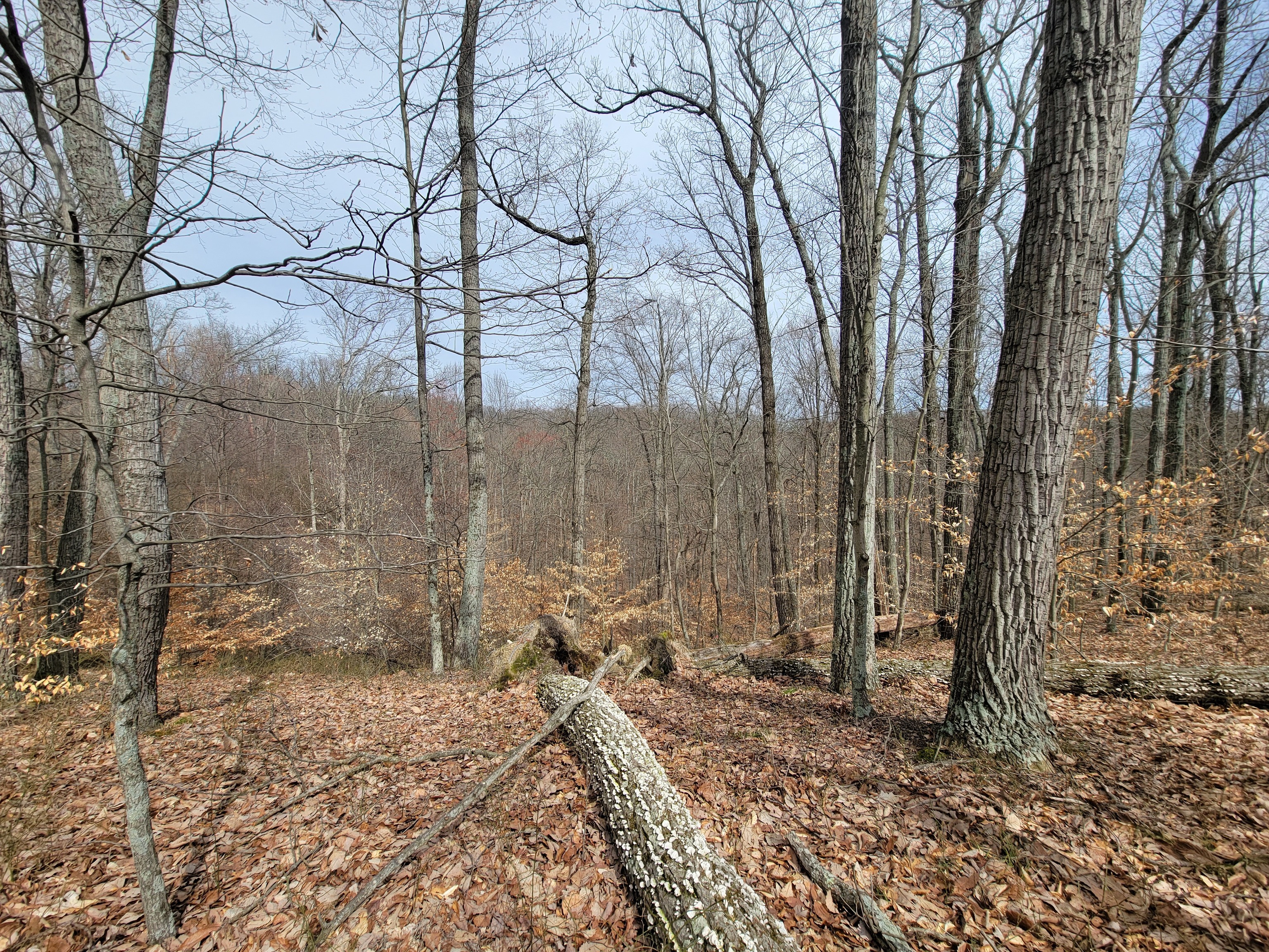 0 Long Lake Rd