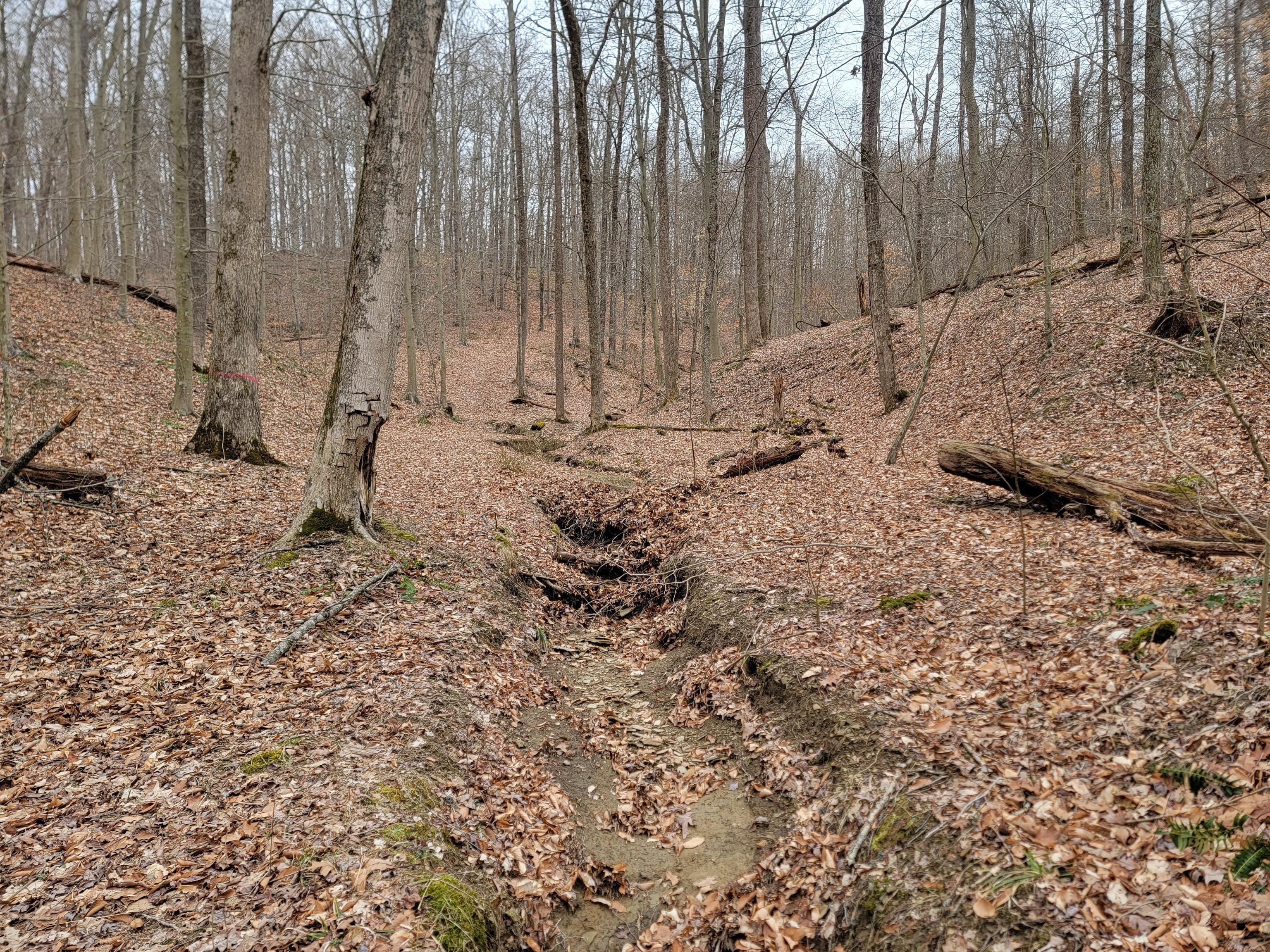 0 Long Lake Rd