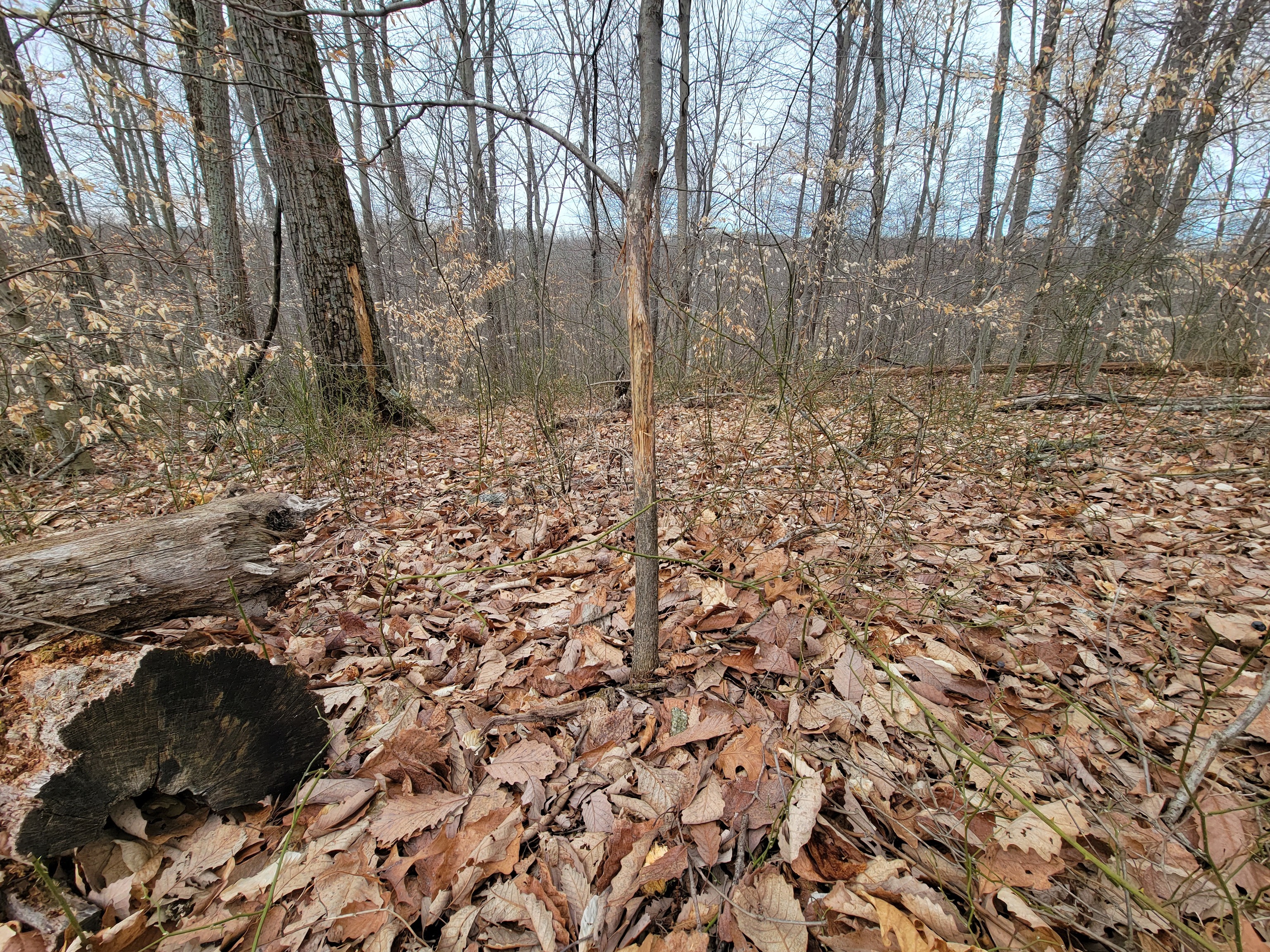 0 Long Lake Rd