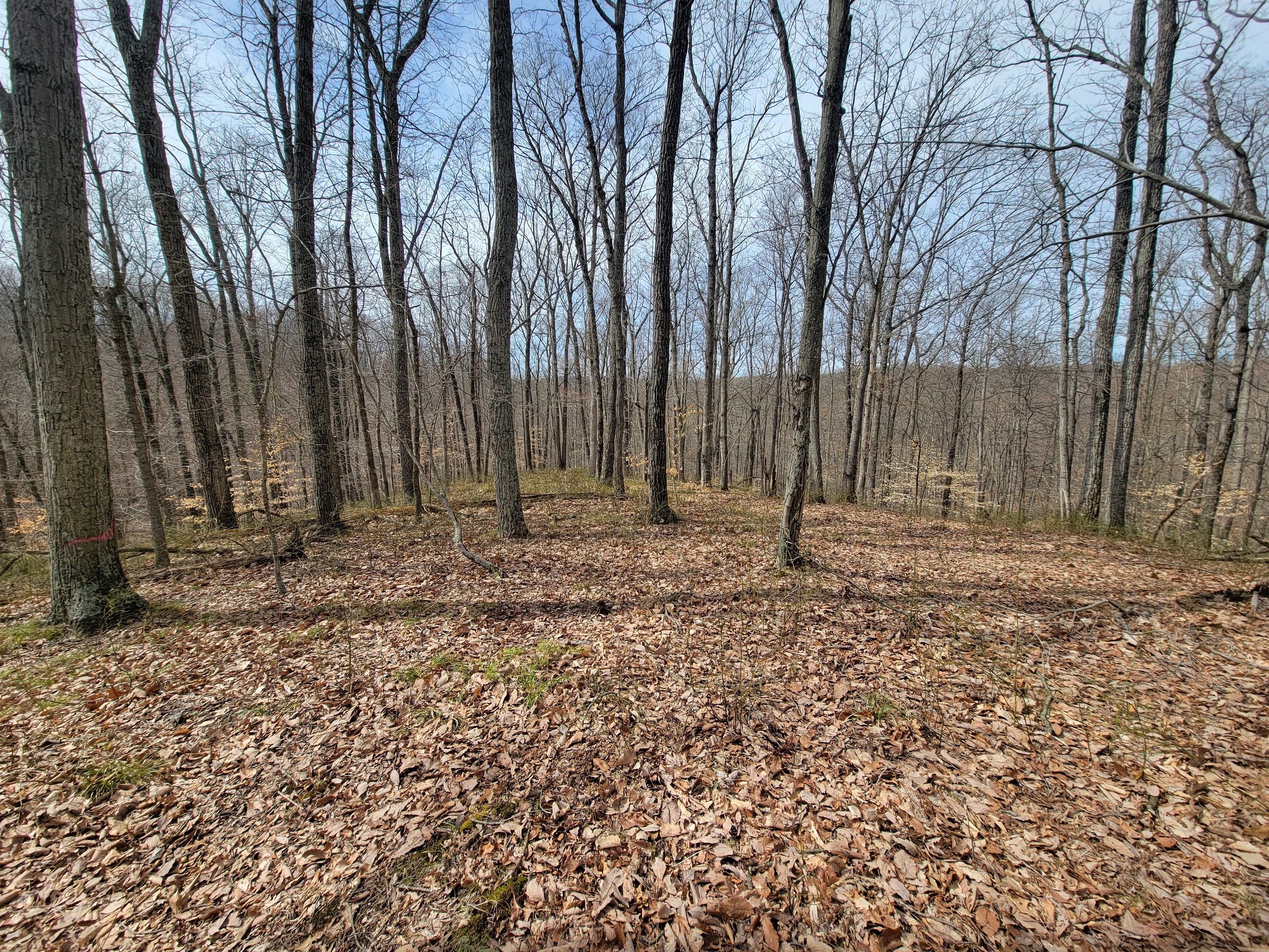 0 Long Lake Rd