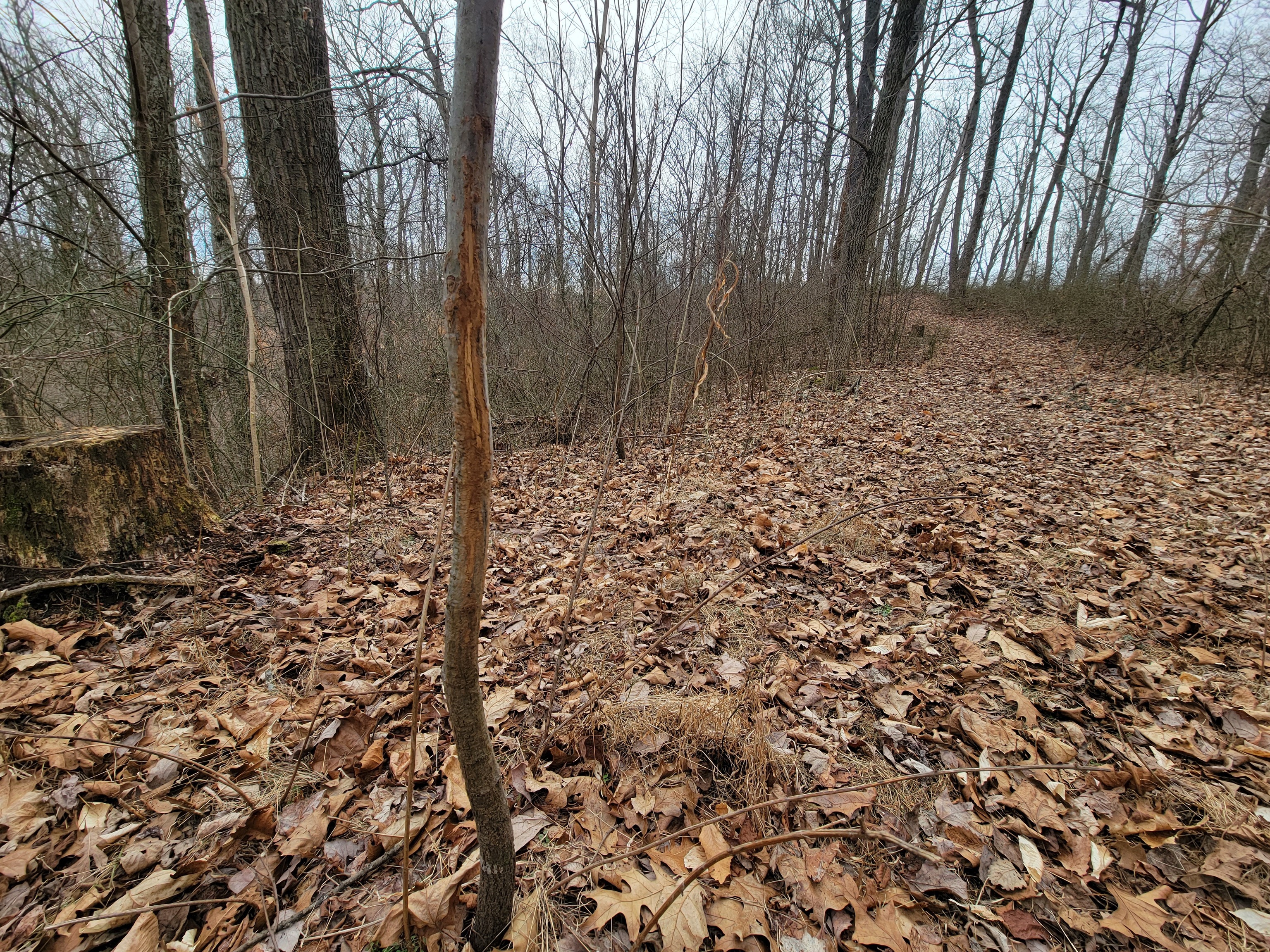 0 Long Lake Rd