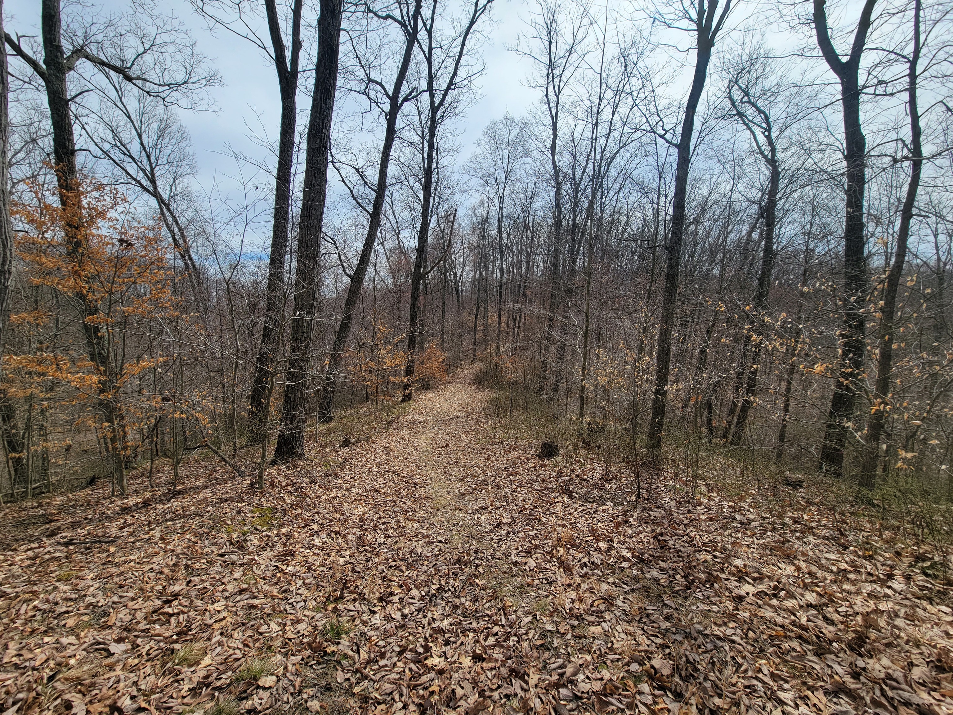 0 Long Lake Rd