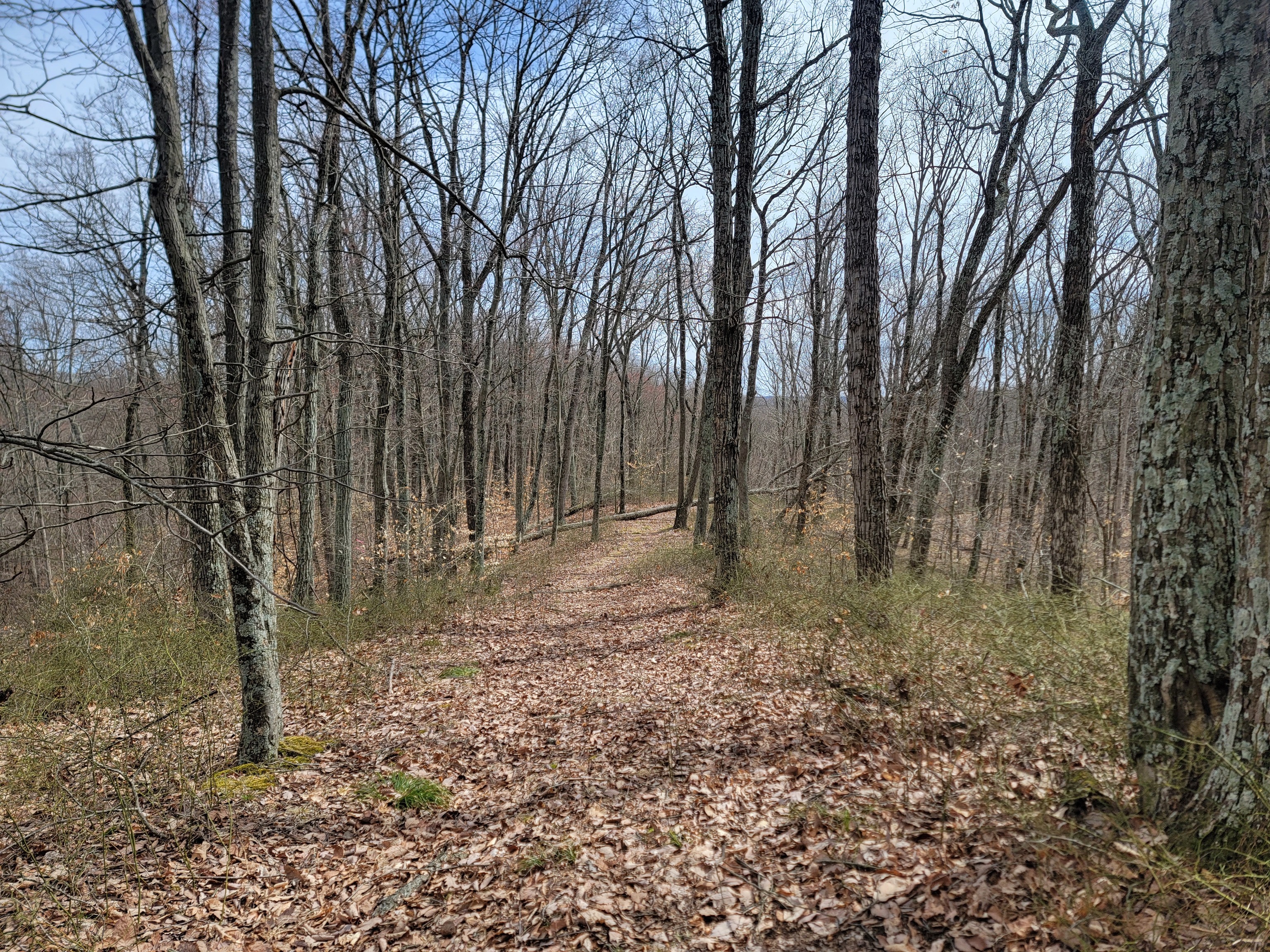 0 Long Lake Rd