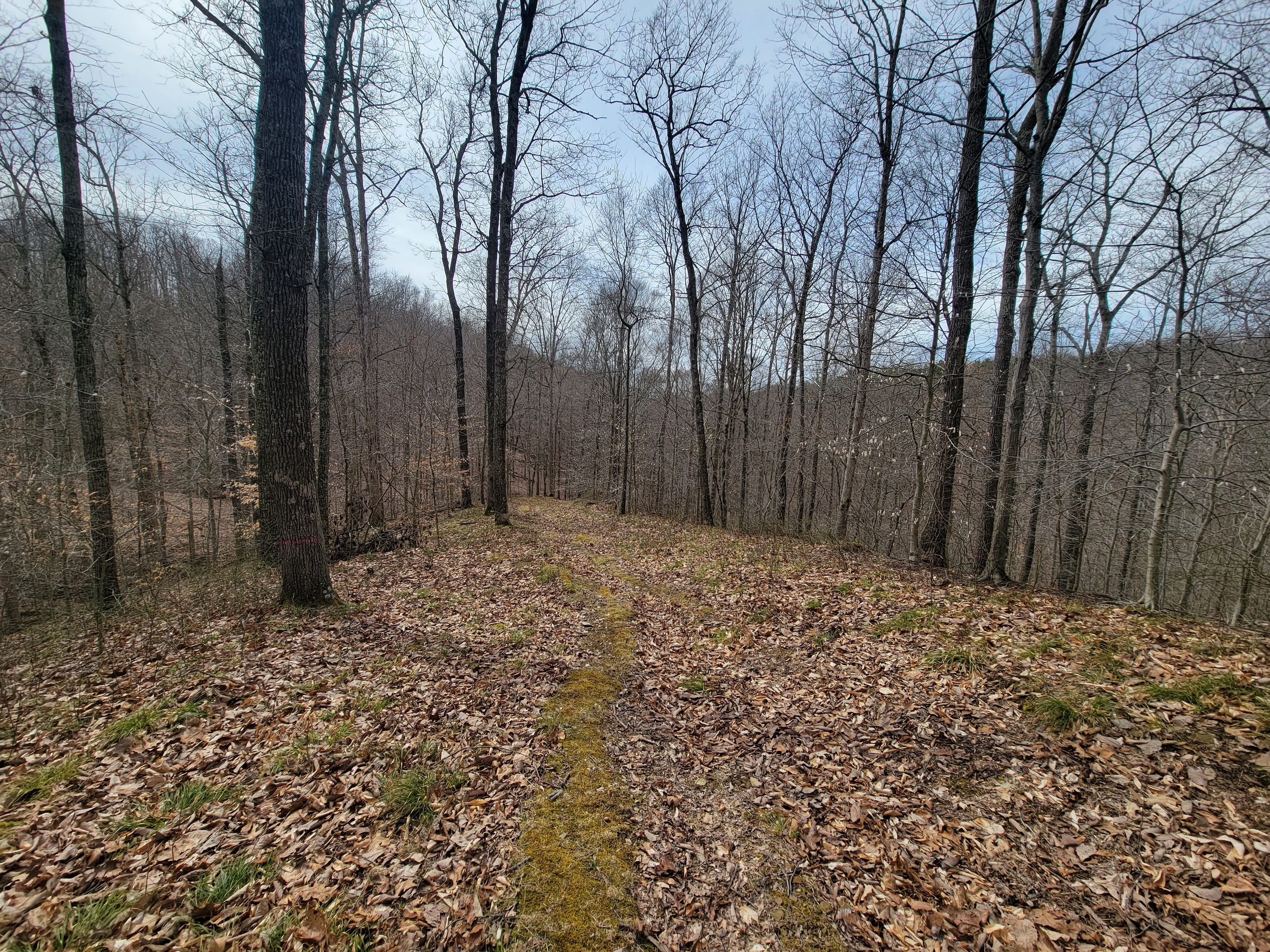 0 Long Lake Rd