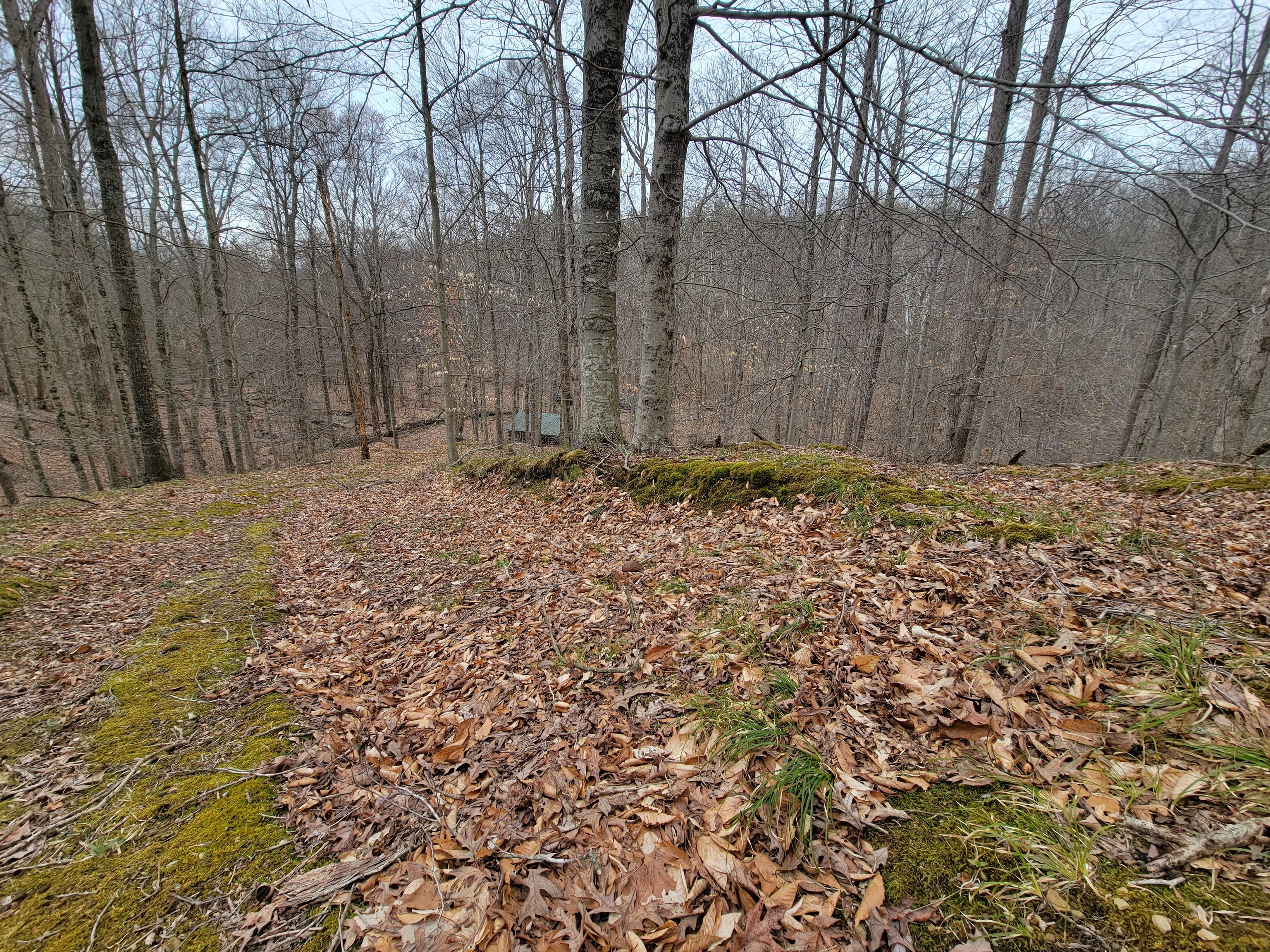 0 Long Lake Rd