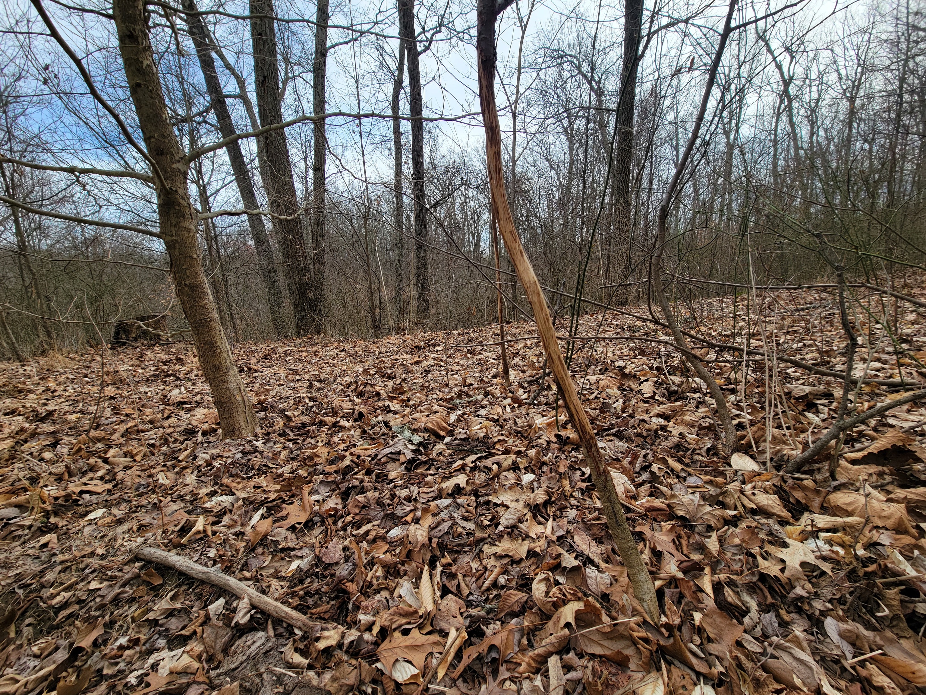 0 Long Lake Rd