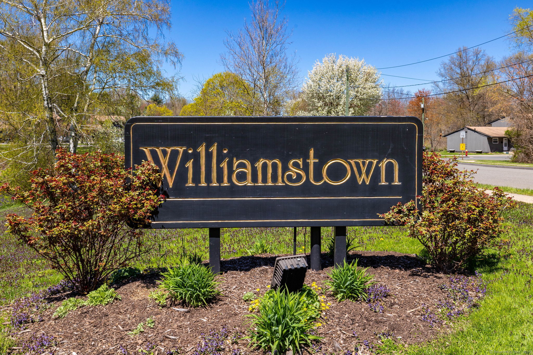 131 Williamstown Court 131