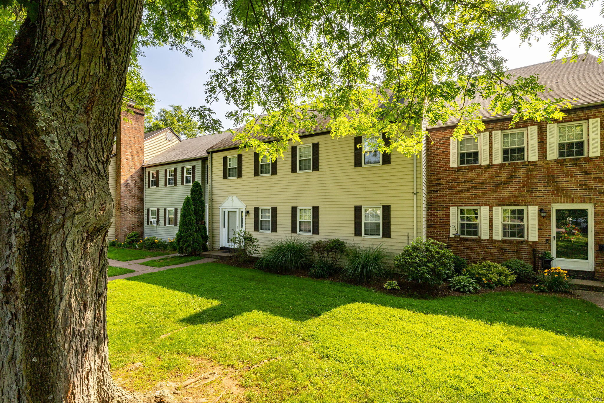 66 Willieb Street 66