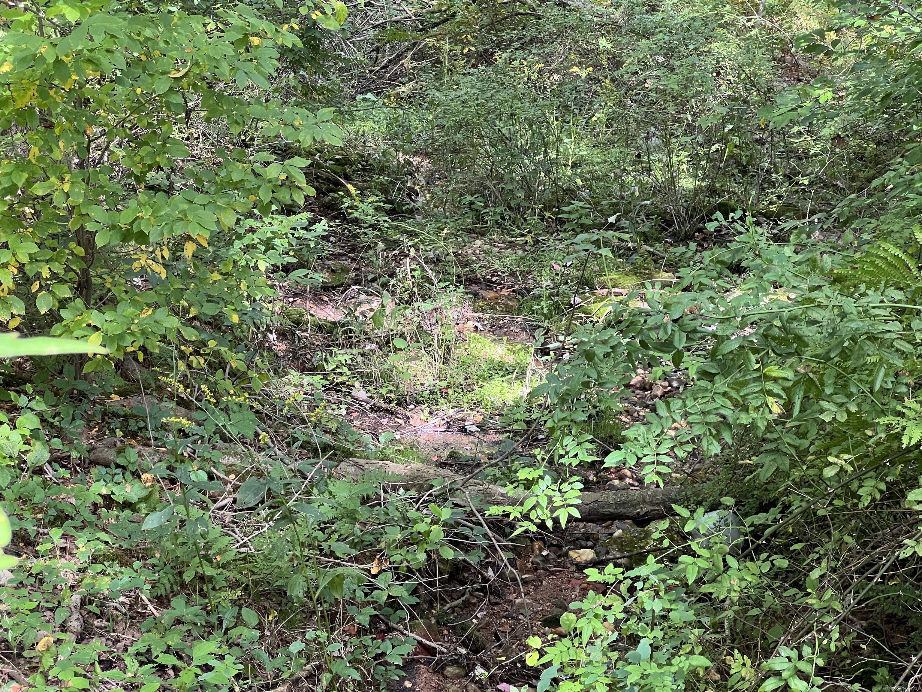 160 Pond Circle