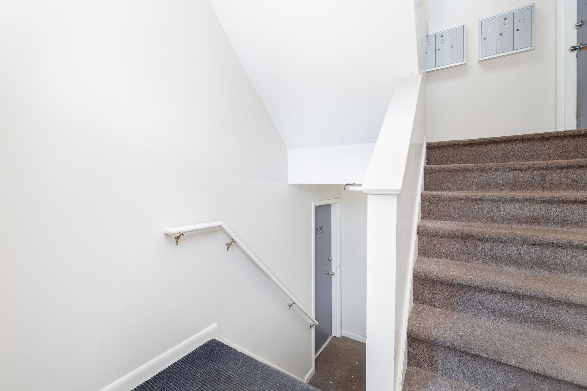 229 Burgundy Hill Lane 229