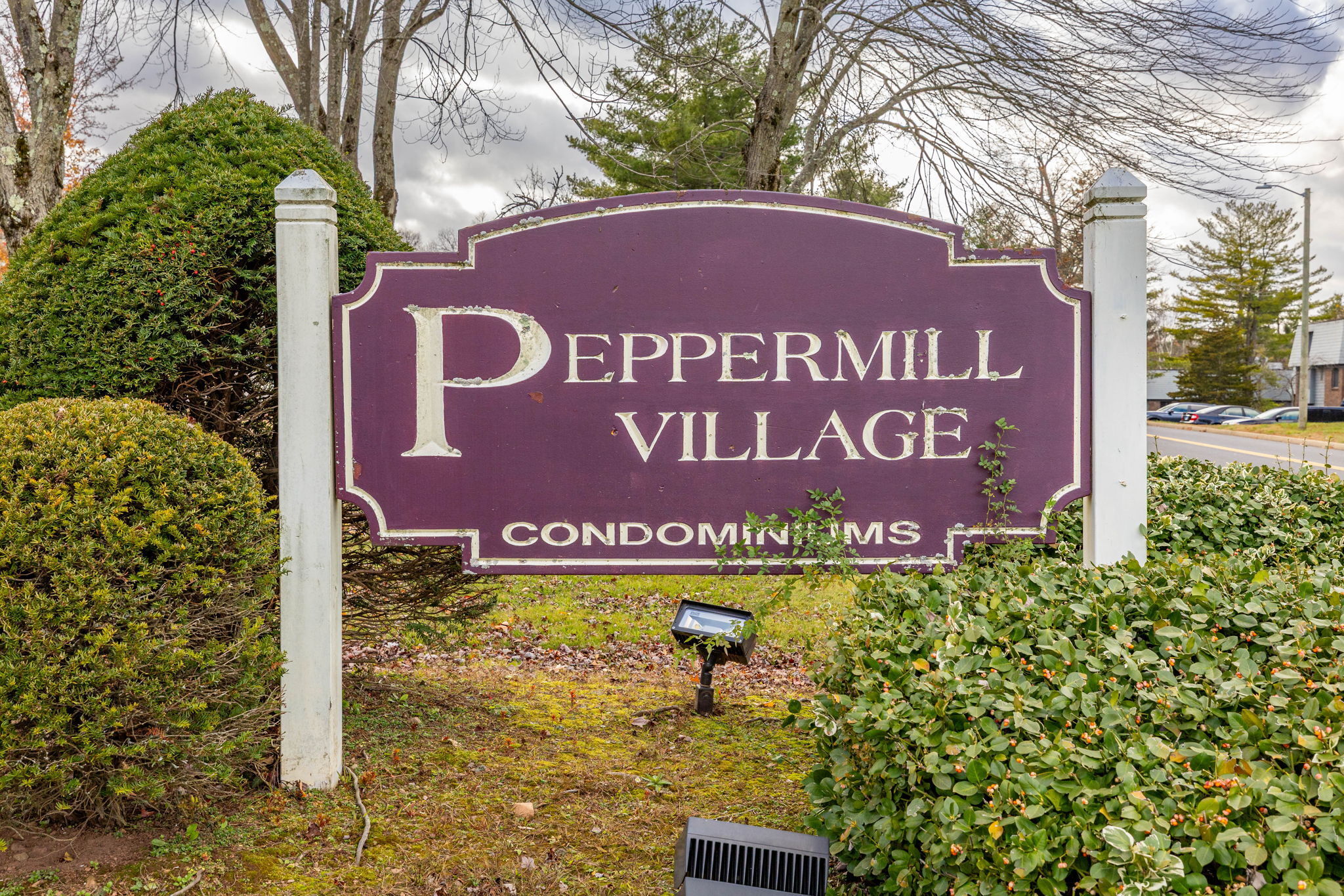 229 Burgundy Hill Lane 229