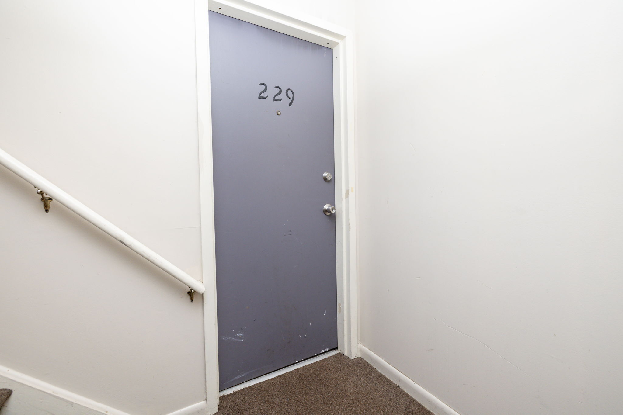 229 Burgundy Hill Lane 229