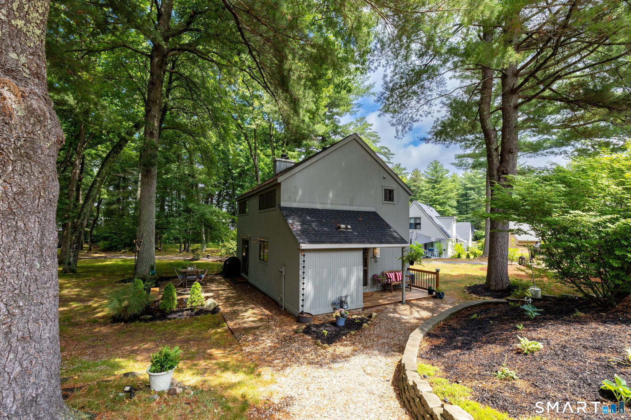 15 Gray Pine Common 15