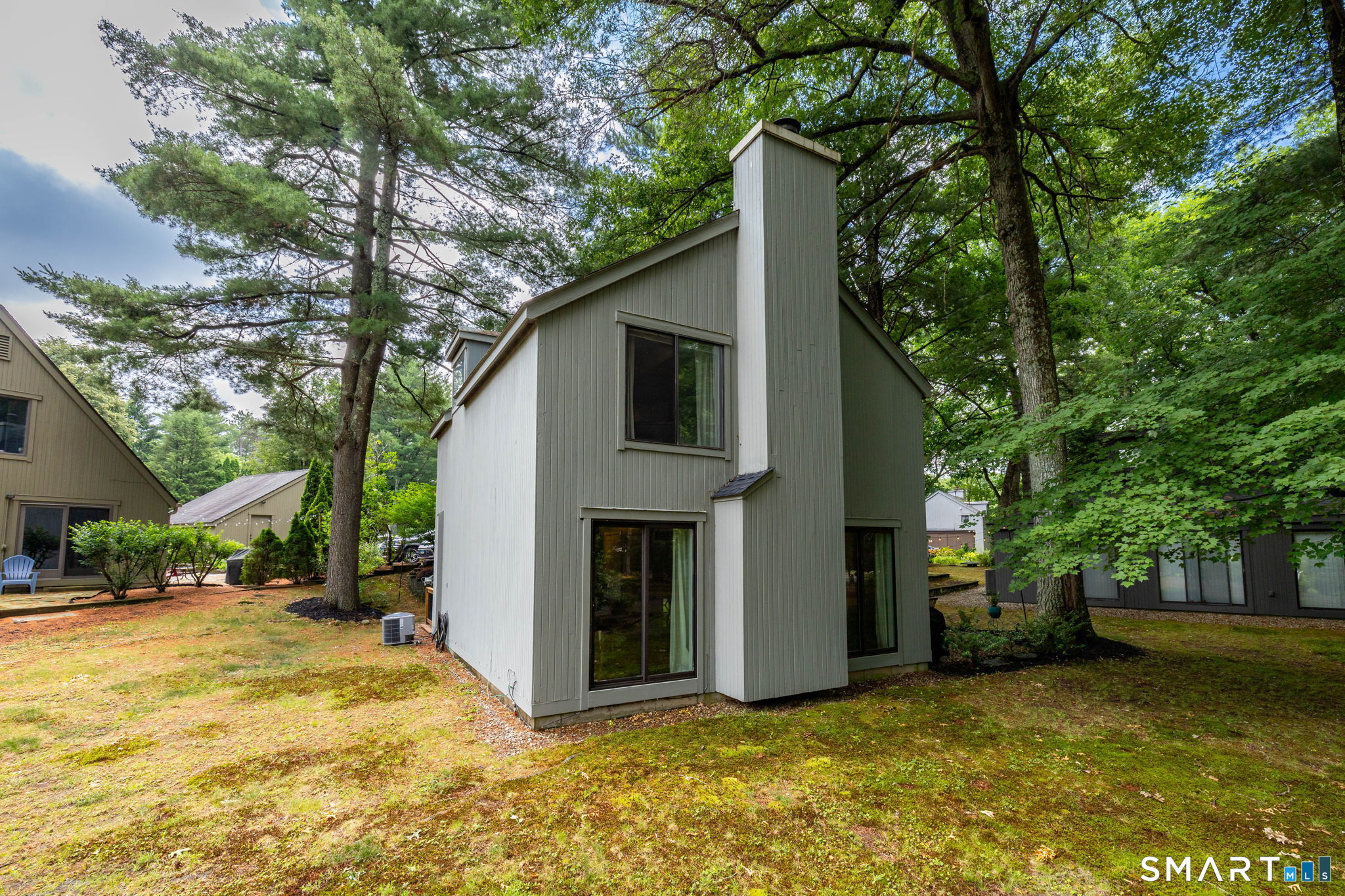 15 Gray Pine Common 15
