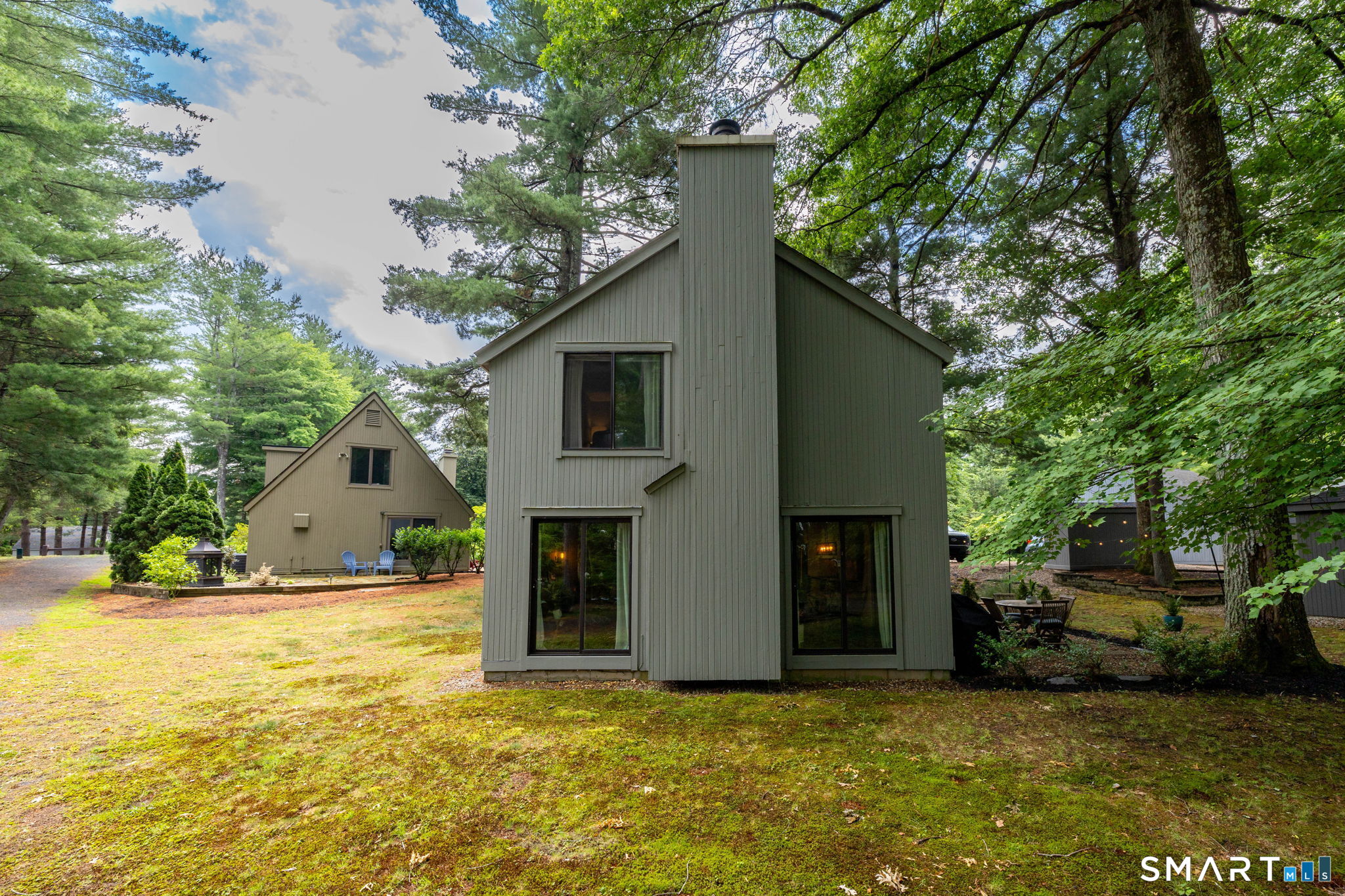 15 Gray Pine Common 15