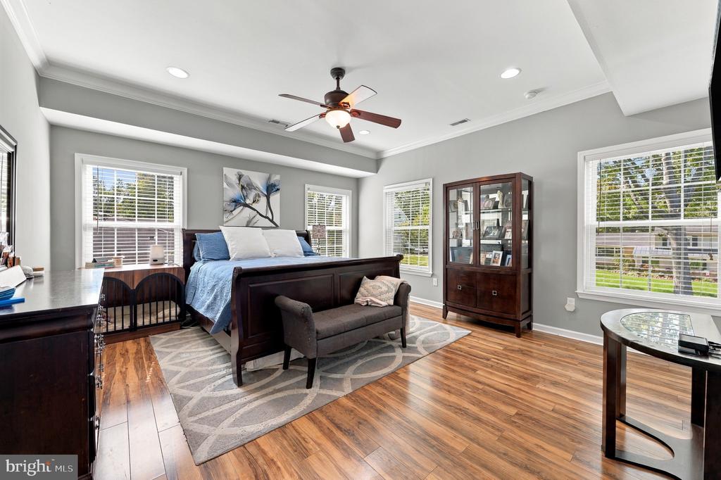 Bedroom with a dark wood bed, tray ceiling, and large windows.