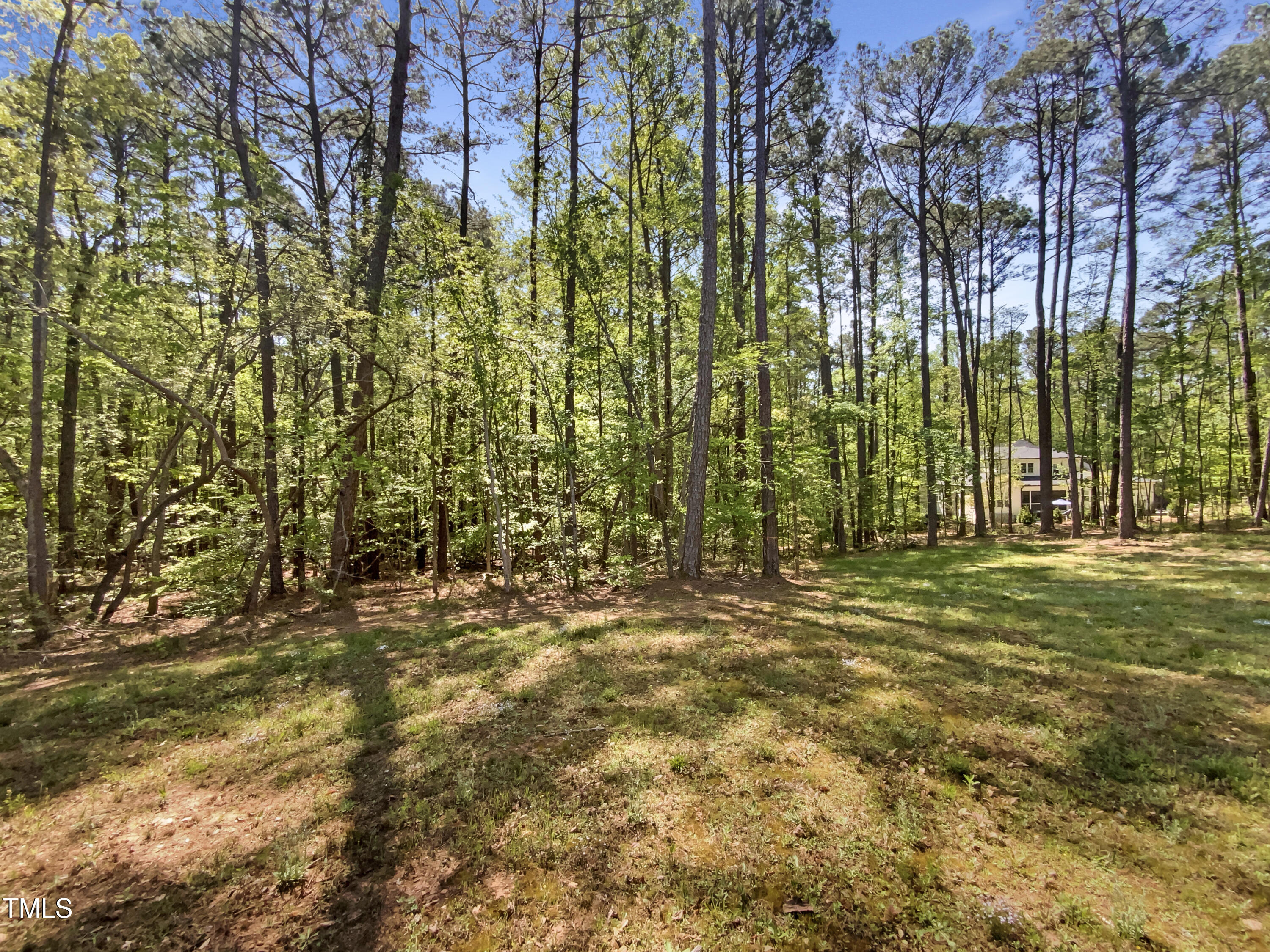6245 Reagan Lane