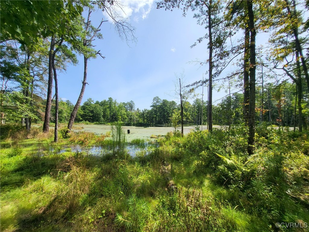 196 Martins Branch Dr