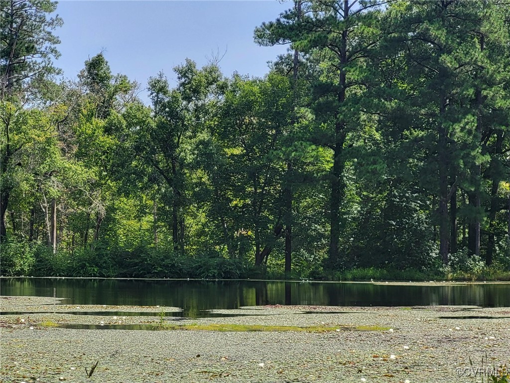 196 Martins Branch Dr