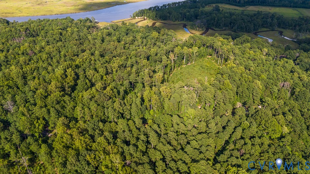 00 Custis Millpond Rd