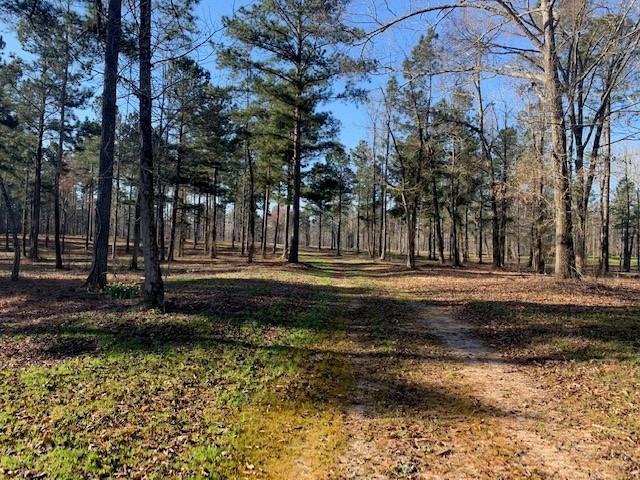 385 Shagbark Way