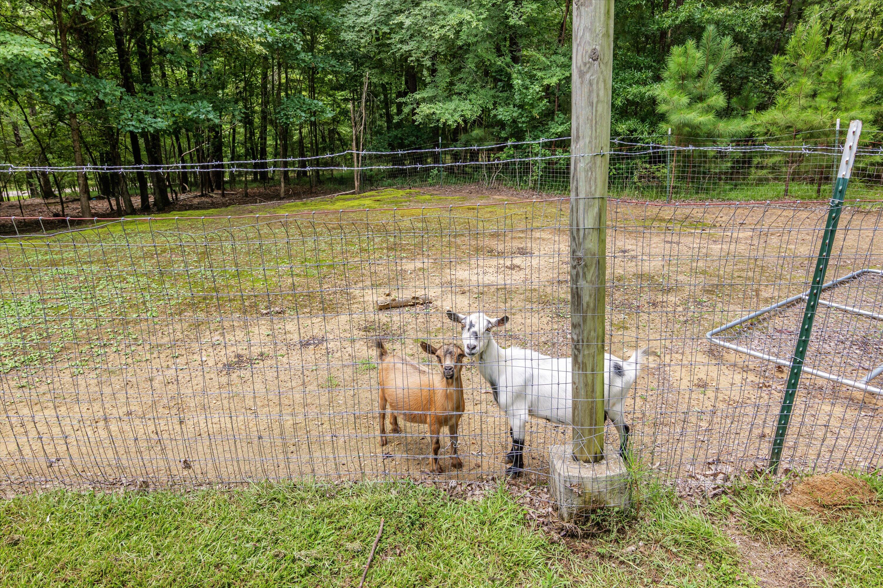 7601 WINFIELD HILLS Road