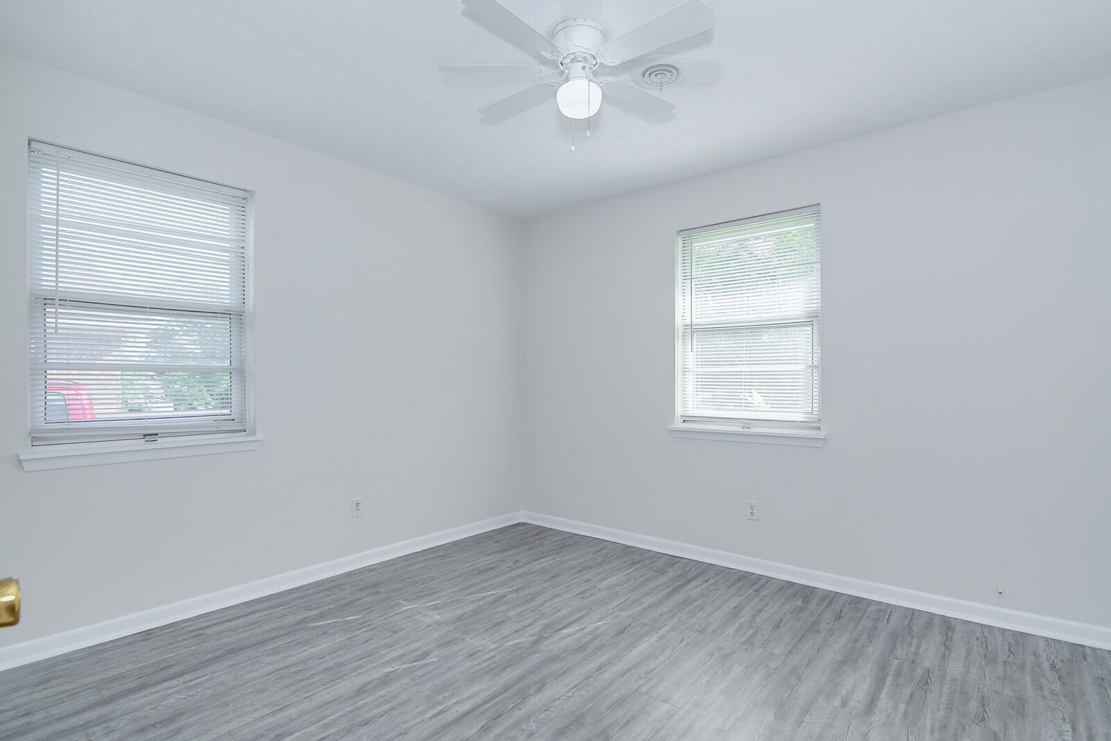 221 Palmetto Drive