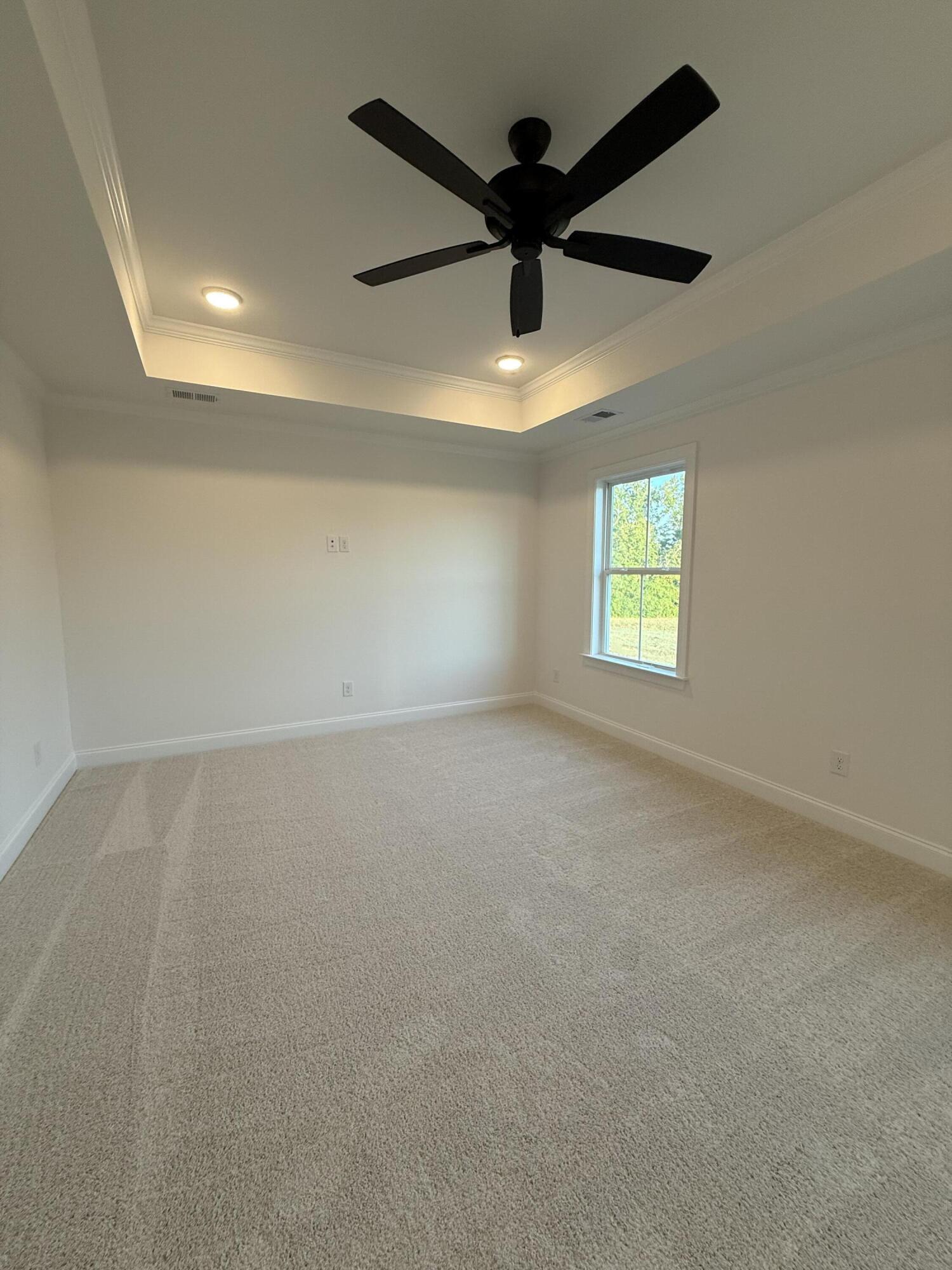 1171 Meandering Trail